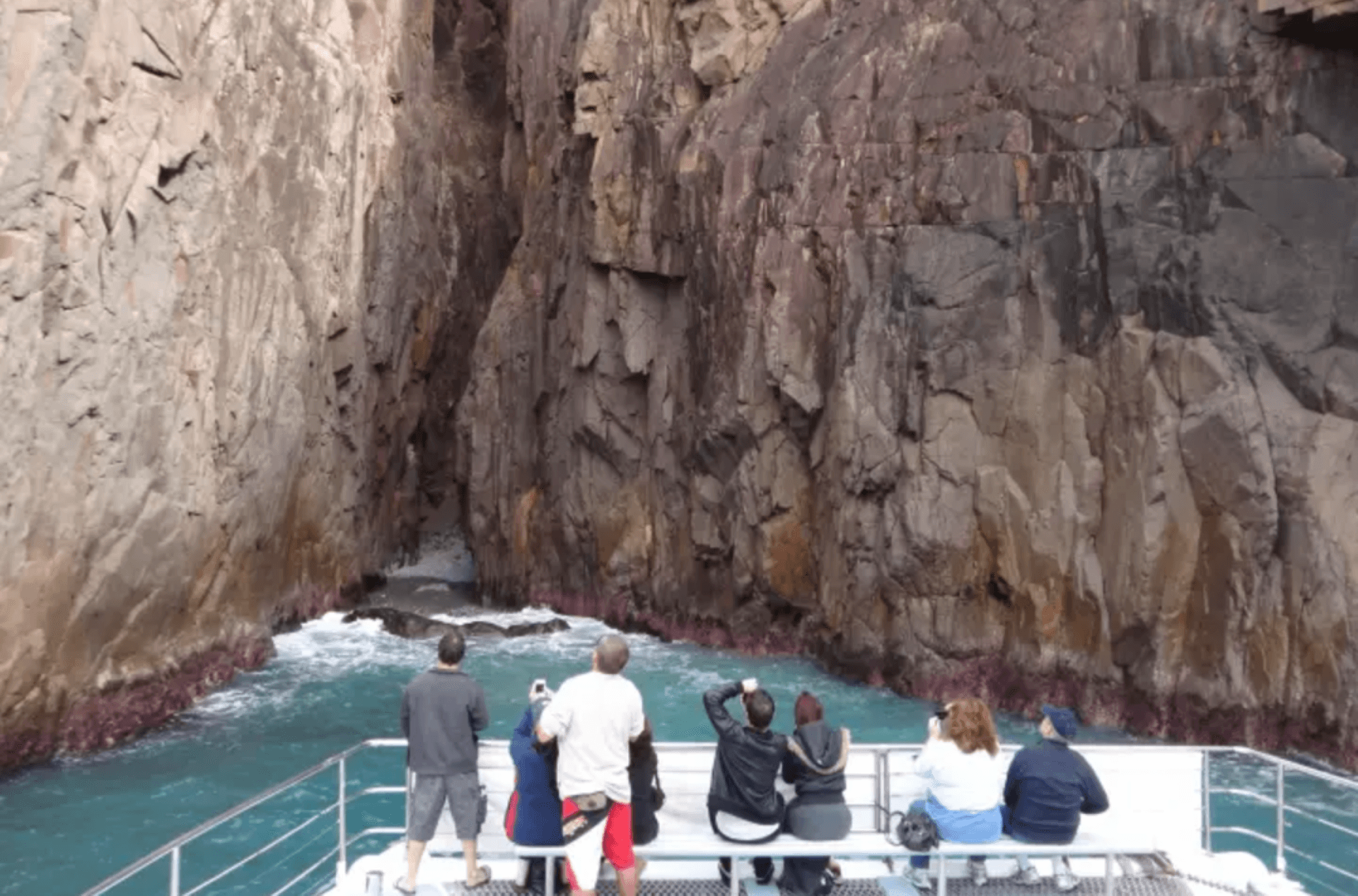 Port Stephens Dolphin Watch and Eco Adventure Cruise - სურათი 3
