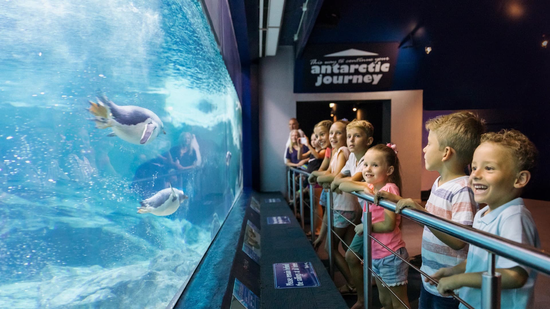 Sea World Gold Coast Ticket - სურათი 10