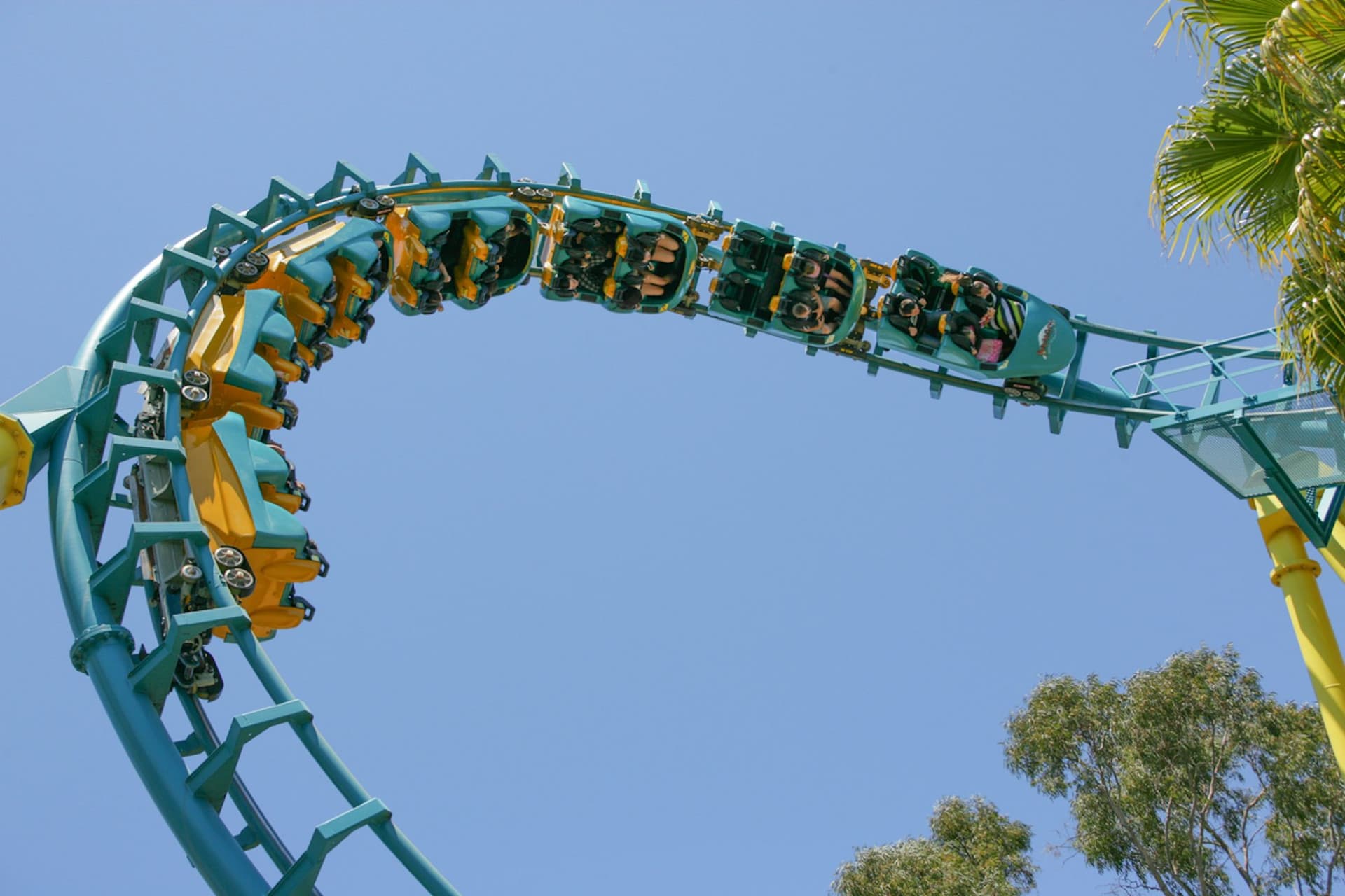 Six Flags Discovery Kingdom Ticket - სურათი 6