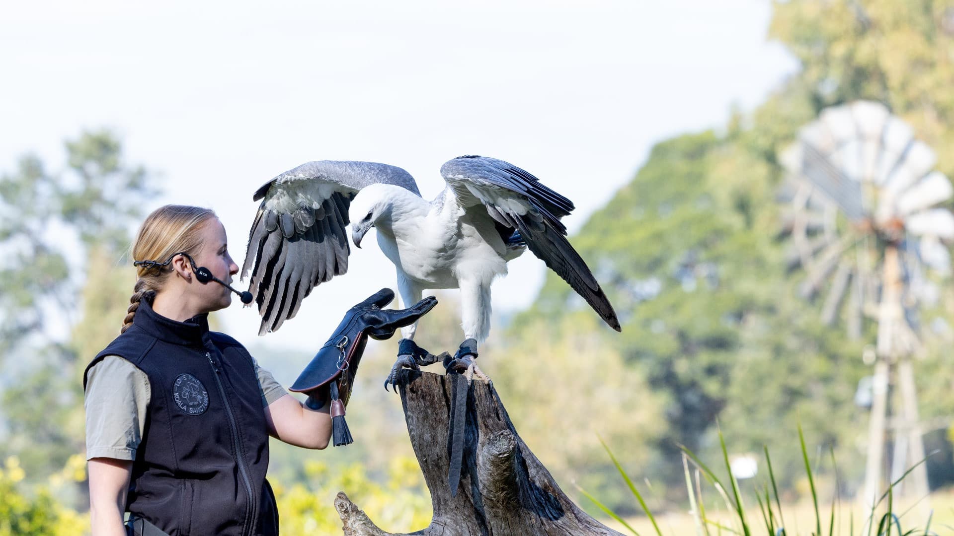 Lone Pine Koala Sanctuary Entry Ticket with Cruise from Brisbane City - სურათი 3