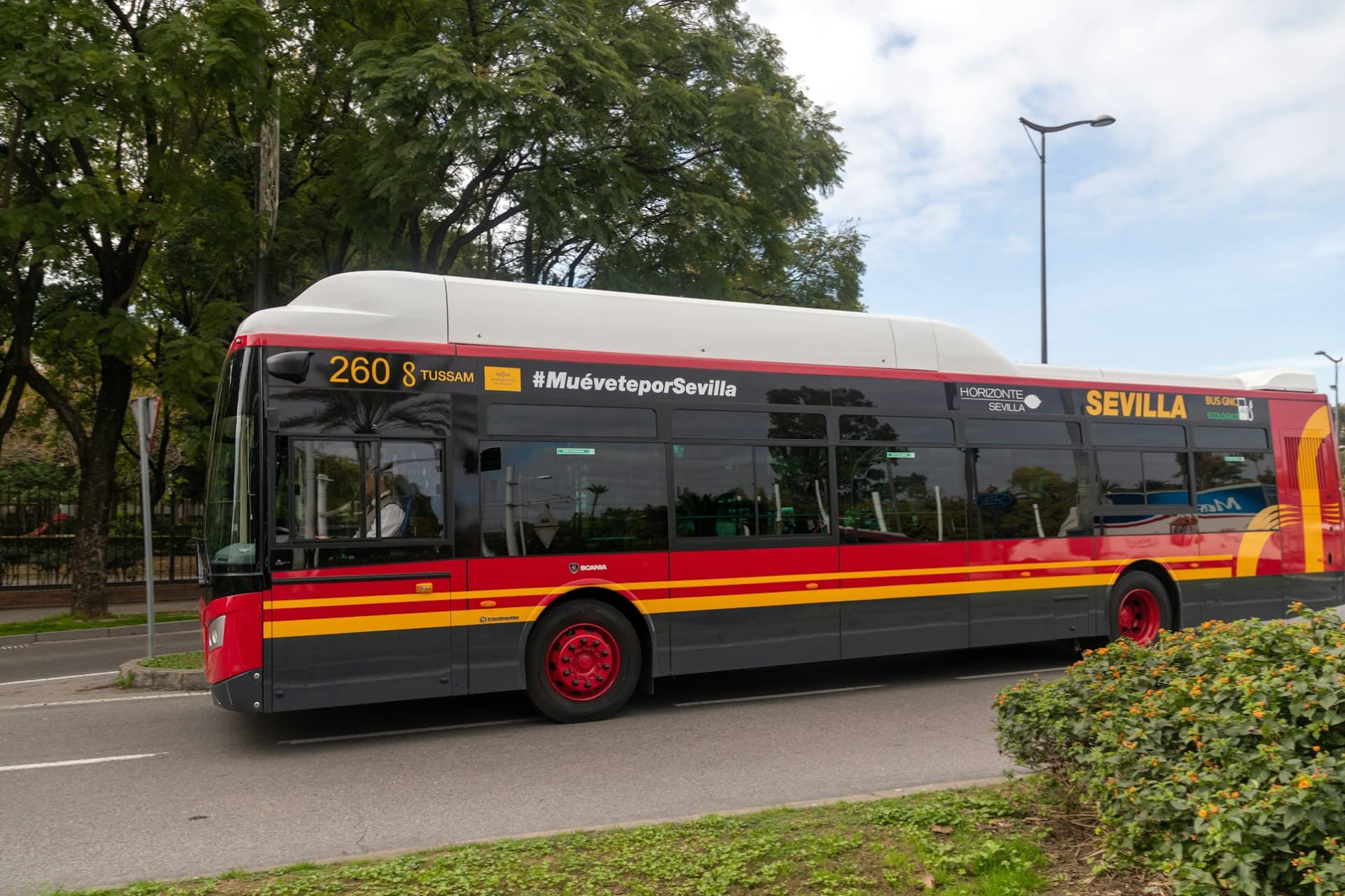 Seville: Airport Transfer Ticket to City Center - სურათი 6