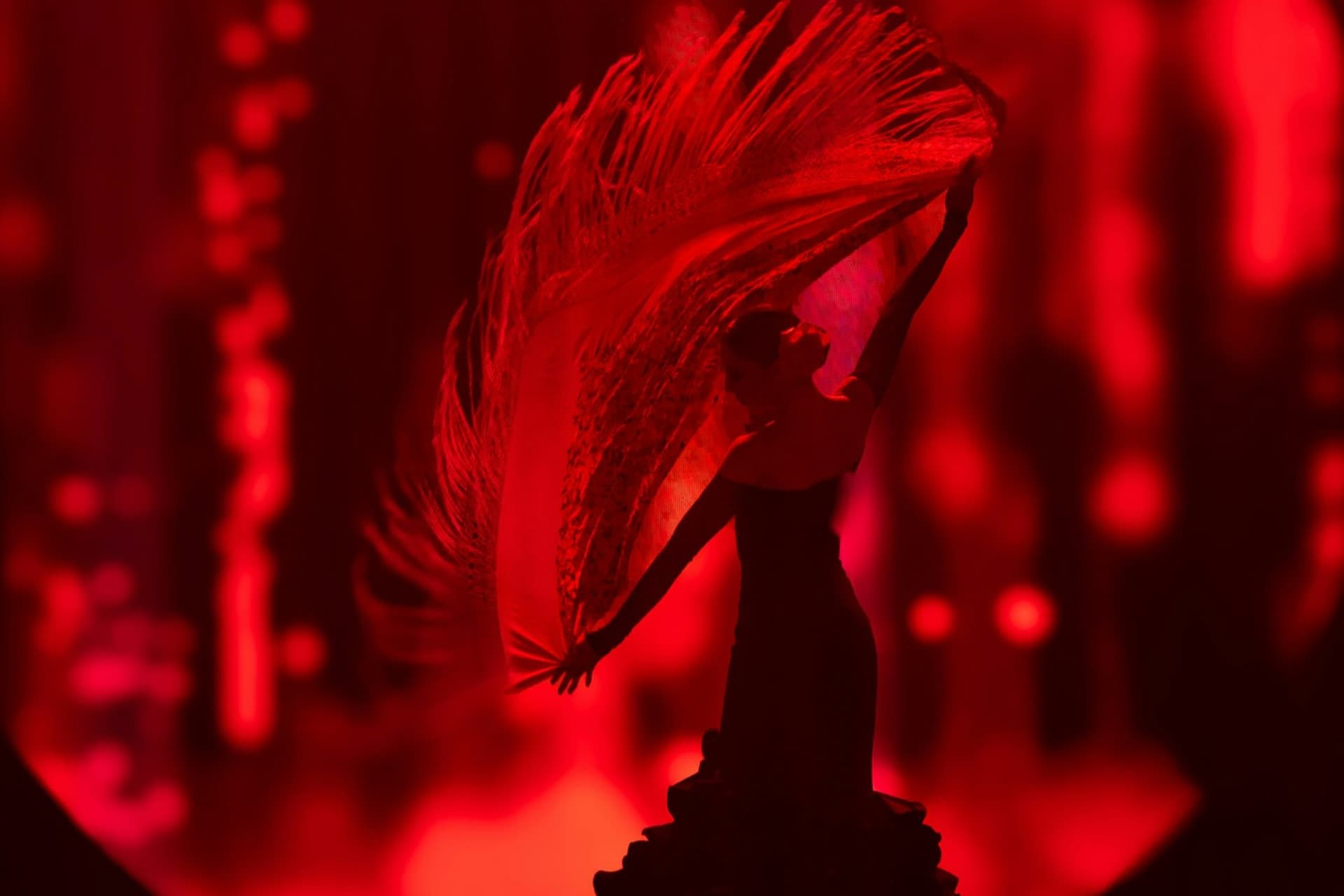 The Evolution of Music Show Ticket - სურათი 4