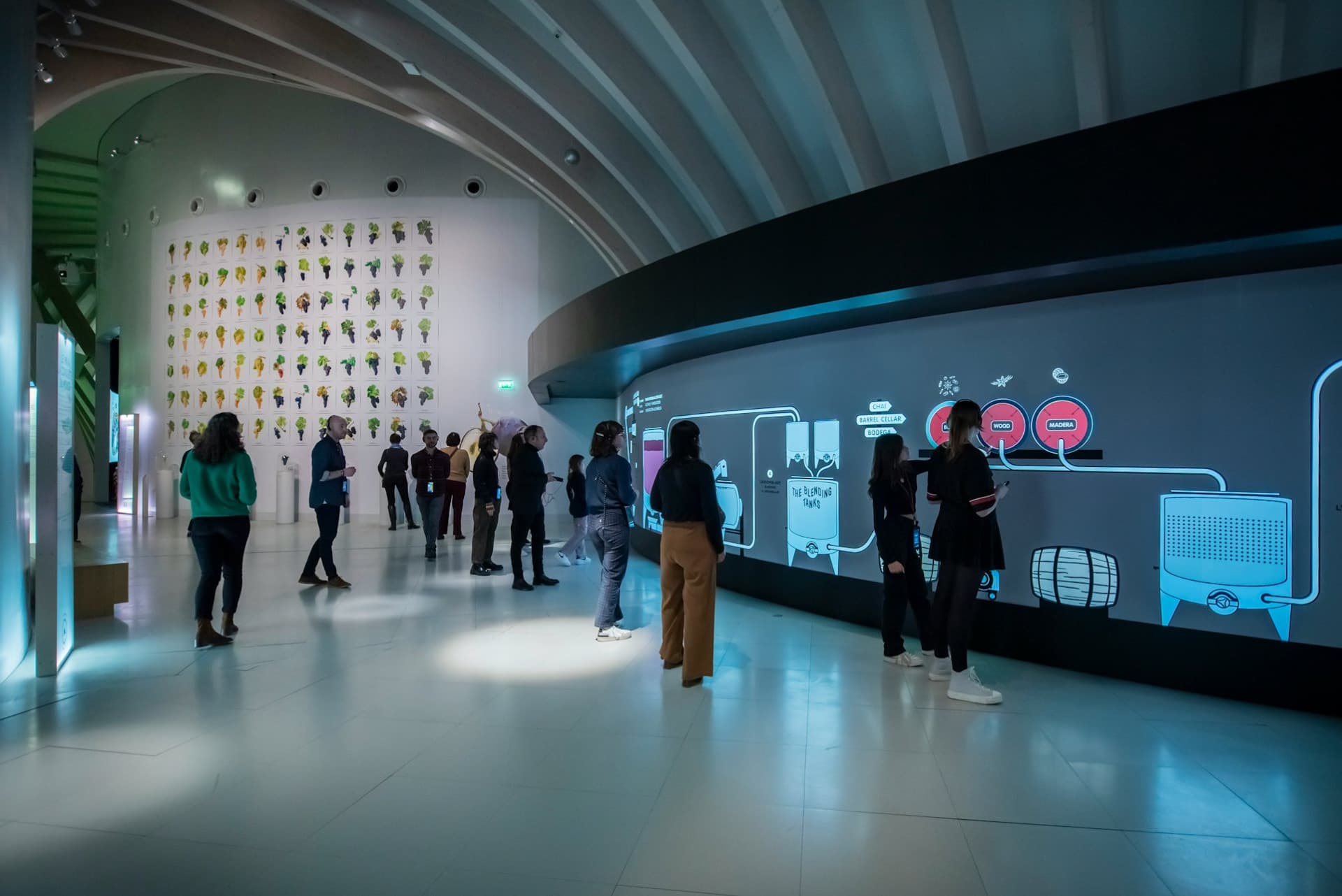 La Cite du Vin: Permanent Exhibition + Belvedere - სურათი 9