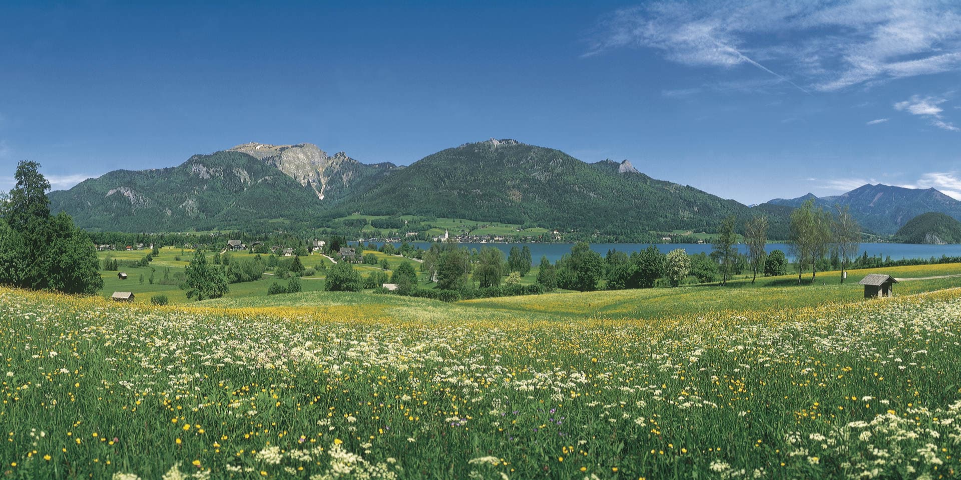 Original Sound of Music Tour - სურათი 2