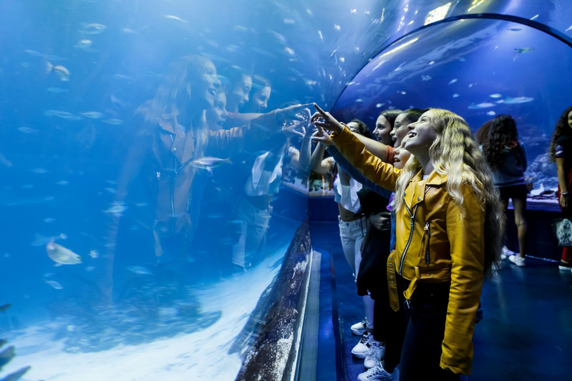 Atlantis Aquarium Madrid Ticket - მთავარი სურათი