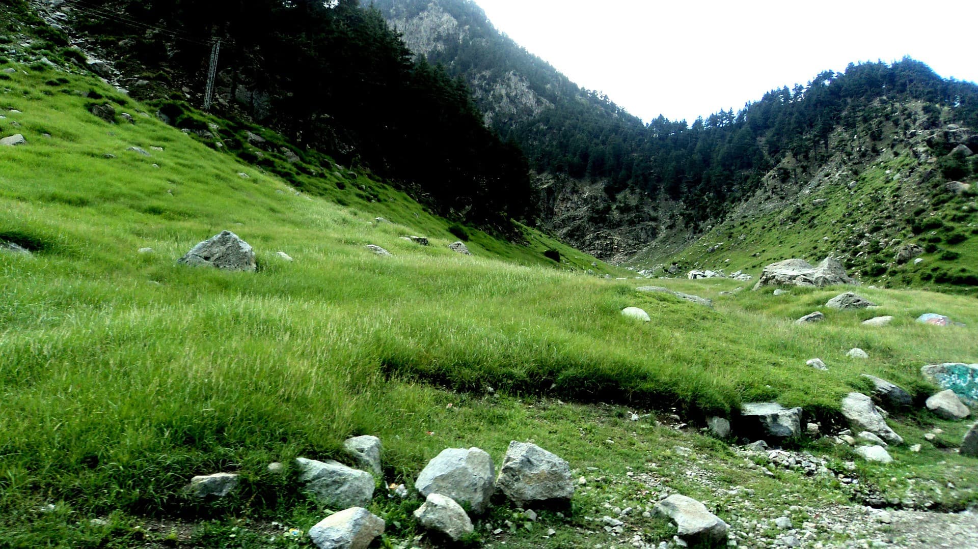 Qingjing Farm Green Green Grassland - სურათი 11