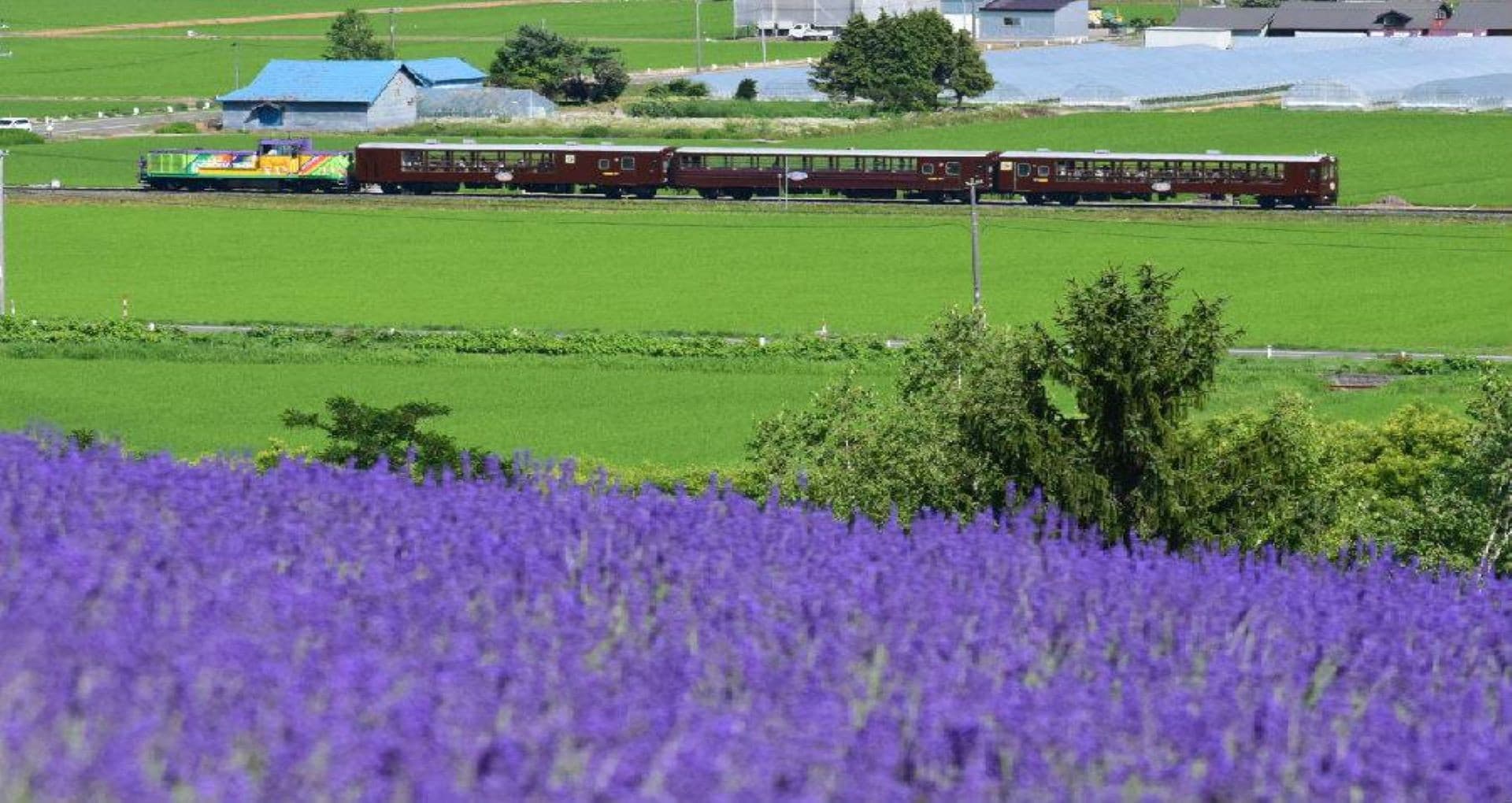 Hokkaido Sapporo-Furano Area Pass - სურათი 3