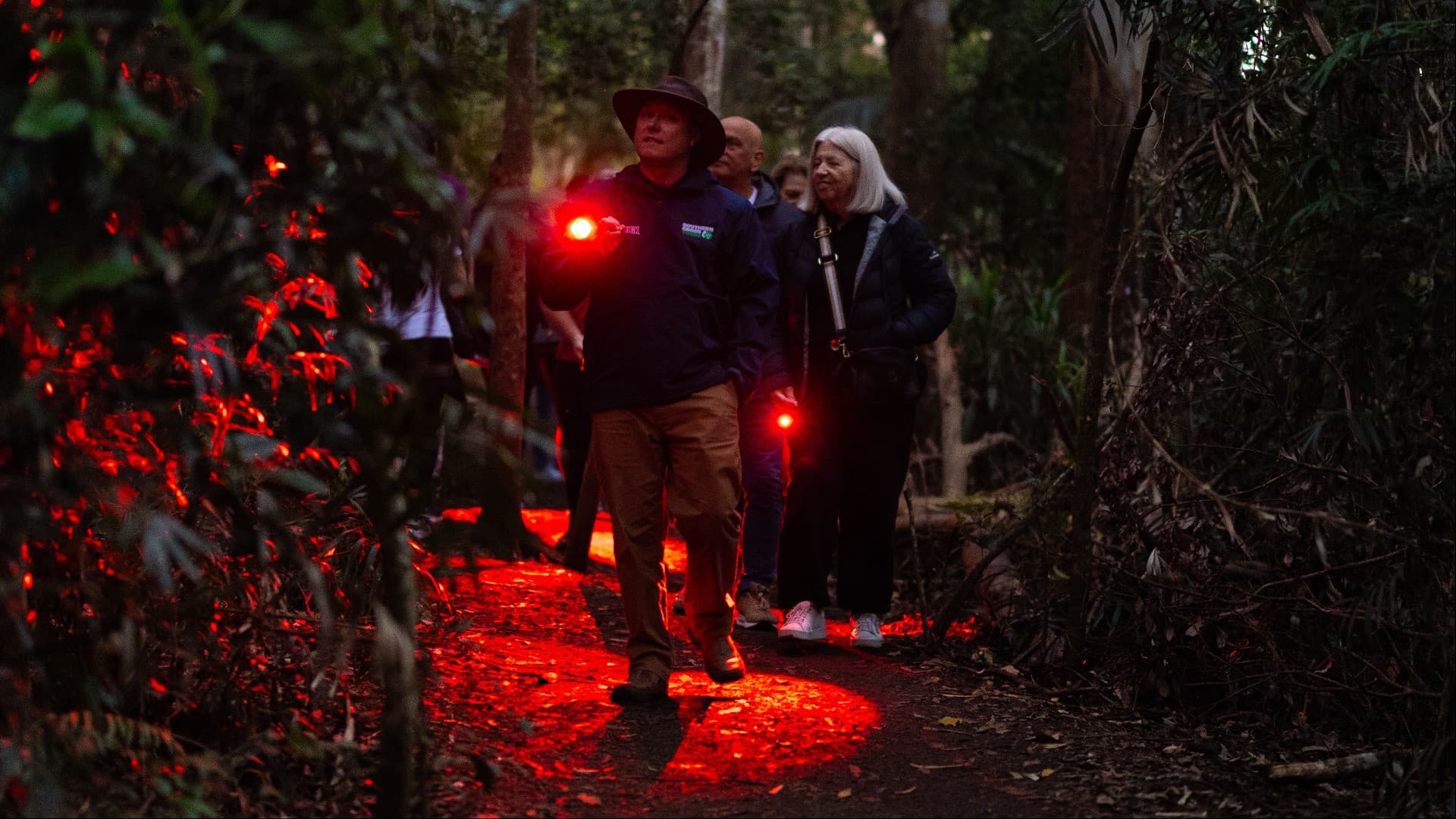 Guided Evening Rainforest Walk and Glow Worms Experience from Gold Coast - სურათი 2