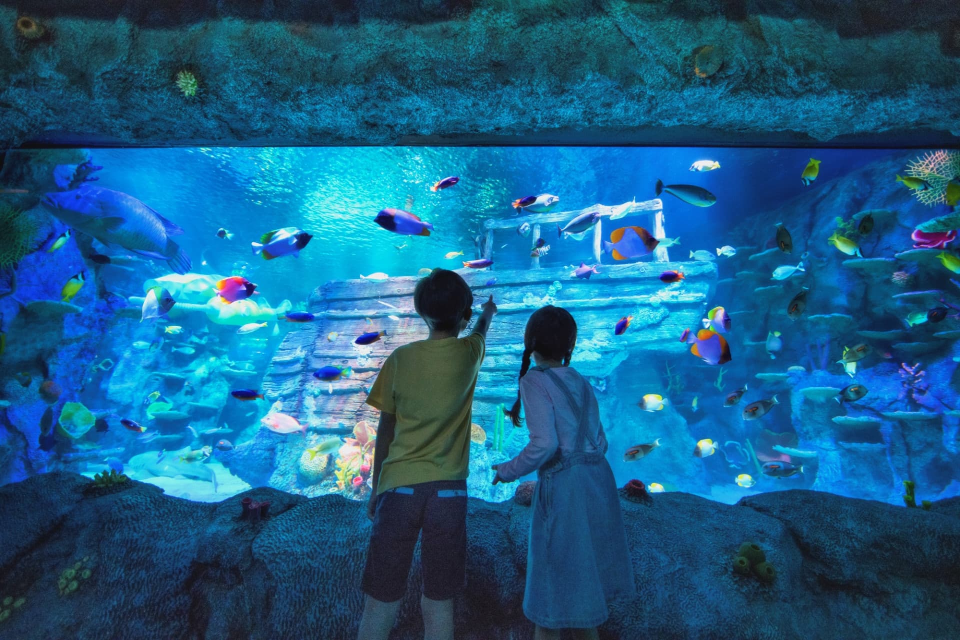 Go City Singapore Explorer Pass: Save up to 50% on Attractions - სურათი 2