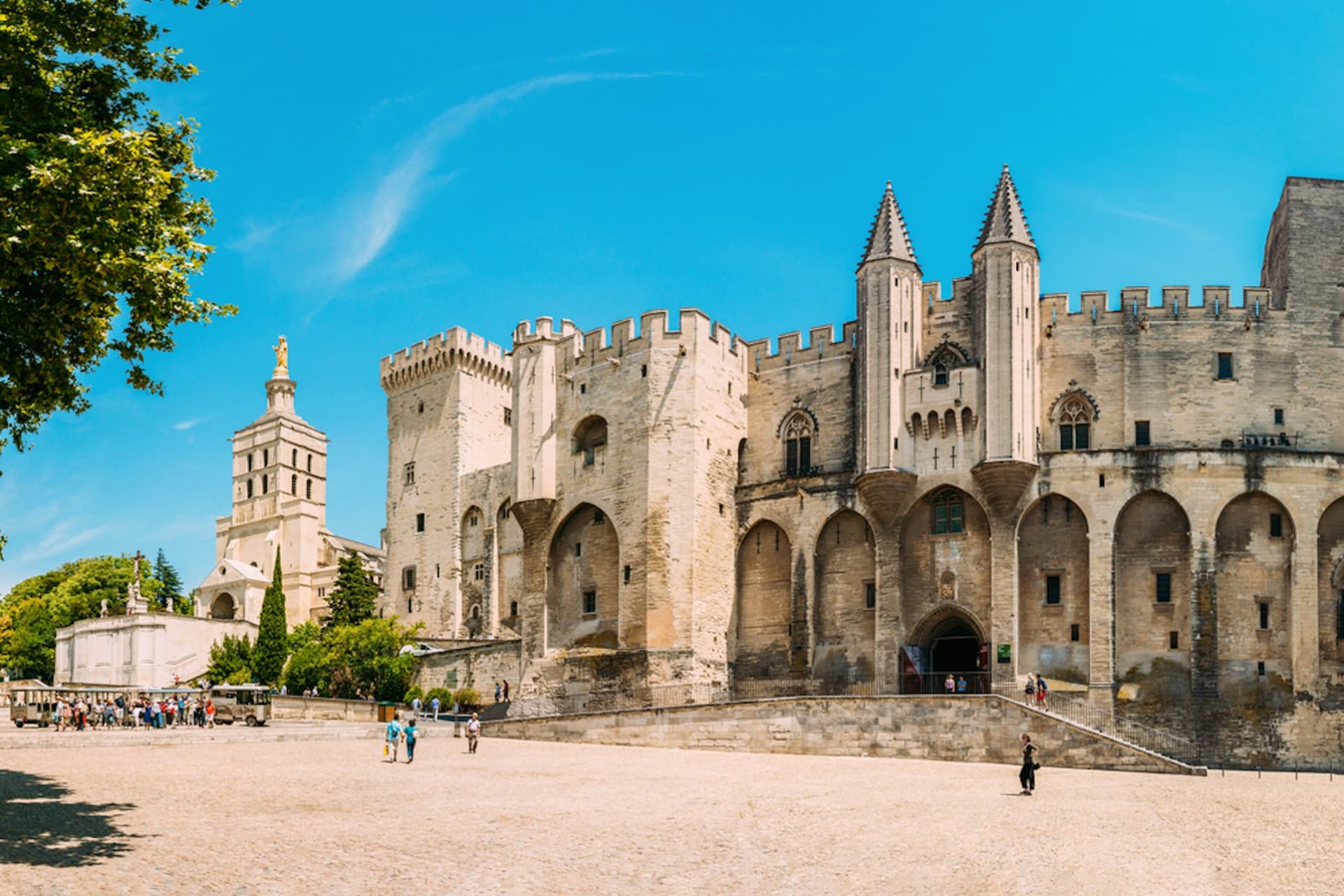 Palace of the Popes and Pont d’Avignon Ticket - მთავარი სურათი