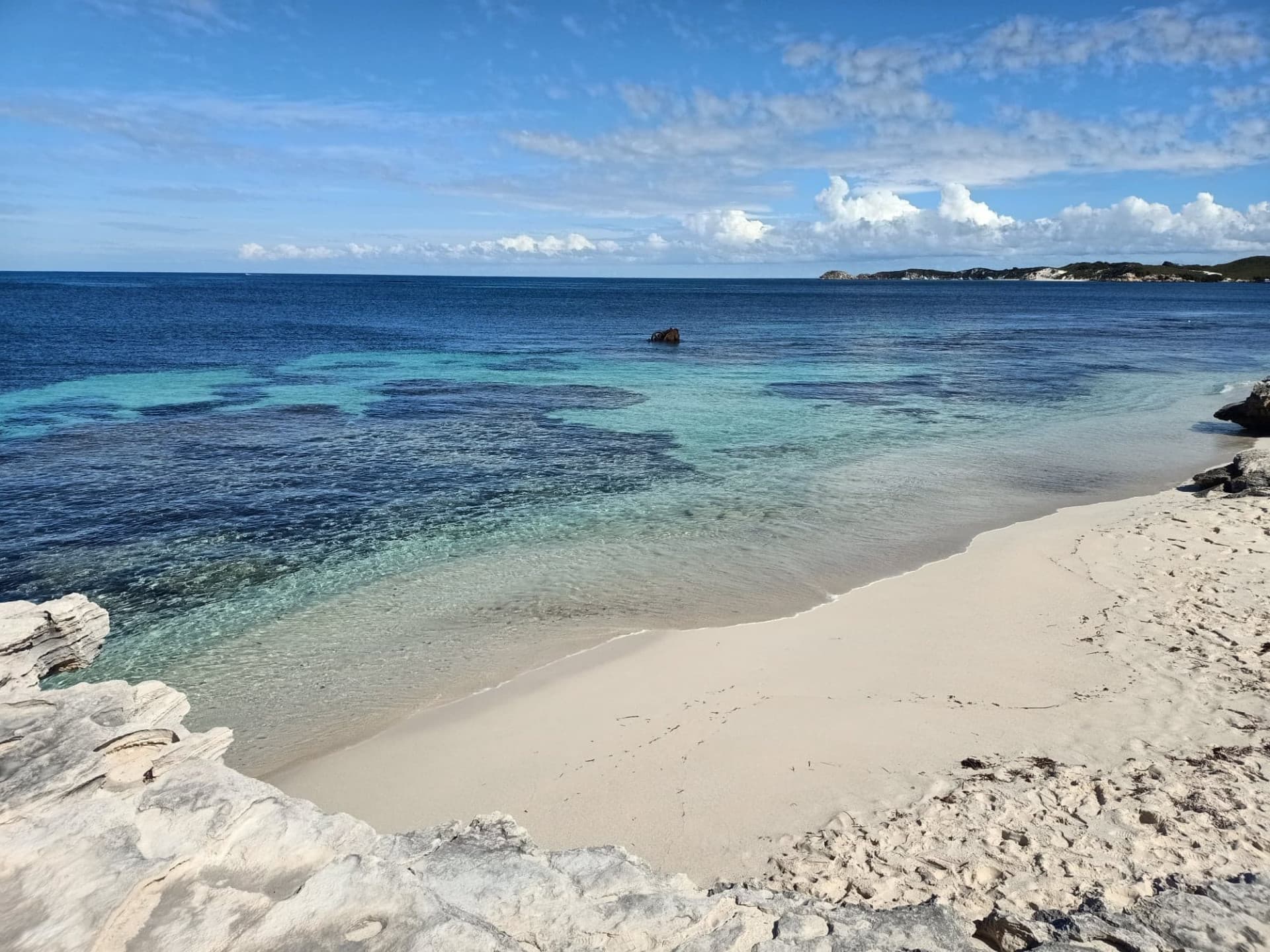 Rottnest Island Settlement Explorer Segway Tour with Round Trip SeaLink Ferry Transfer - სურათი 6