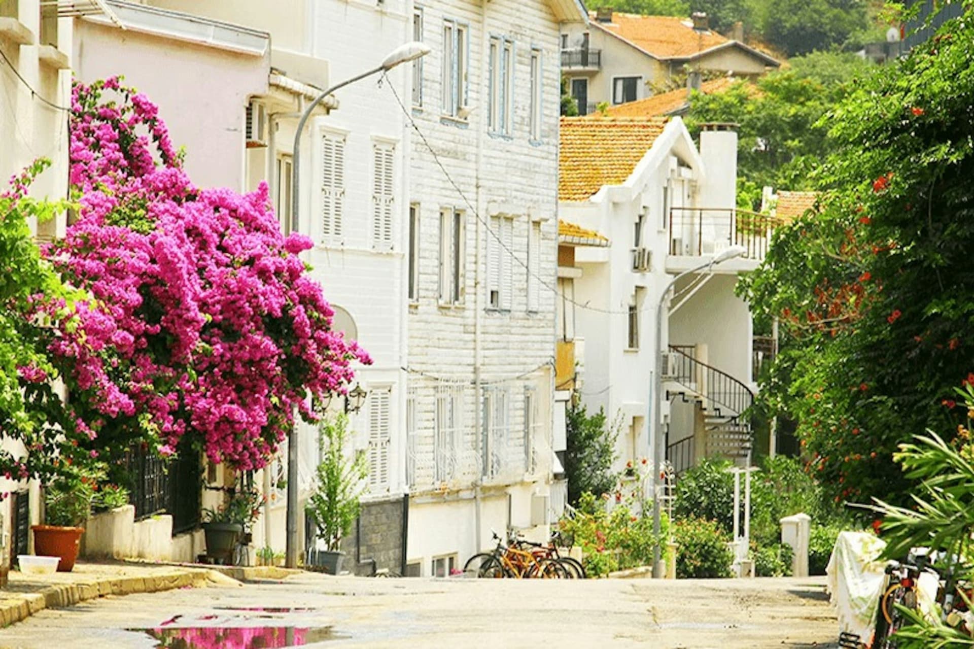 Istanbul Princes' Islands Roundtrip Ferry - სურათი 7