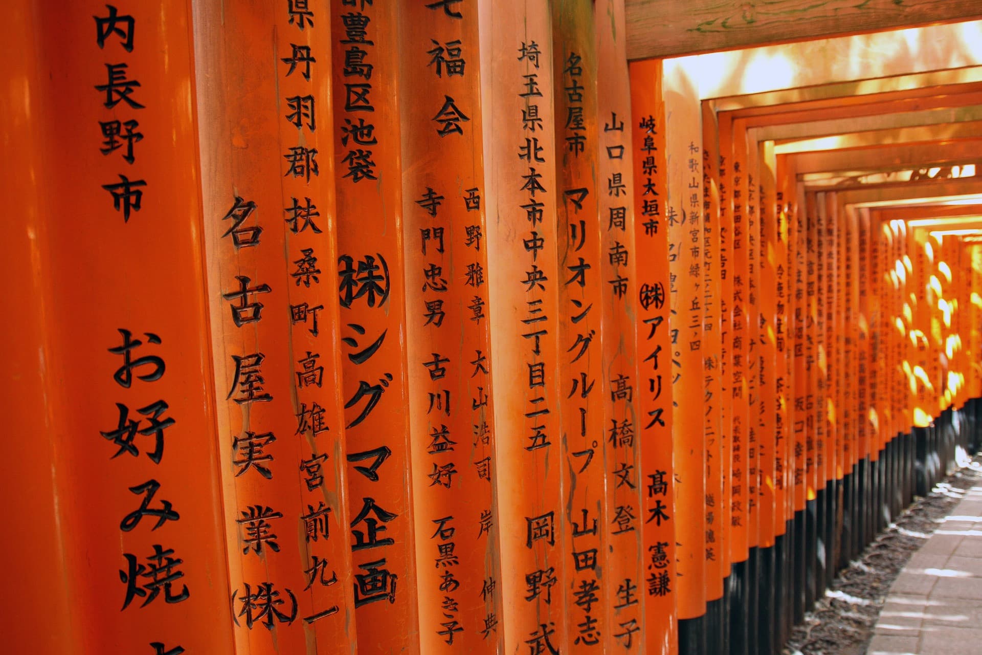 Kyoto-Osaka Sightseeing Pass - სურათი 6