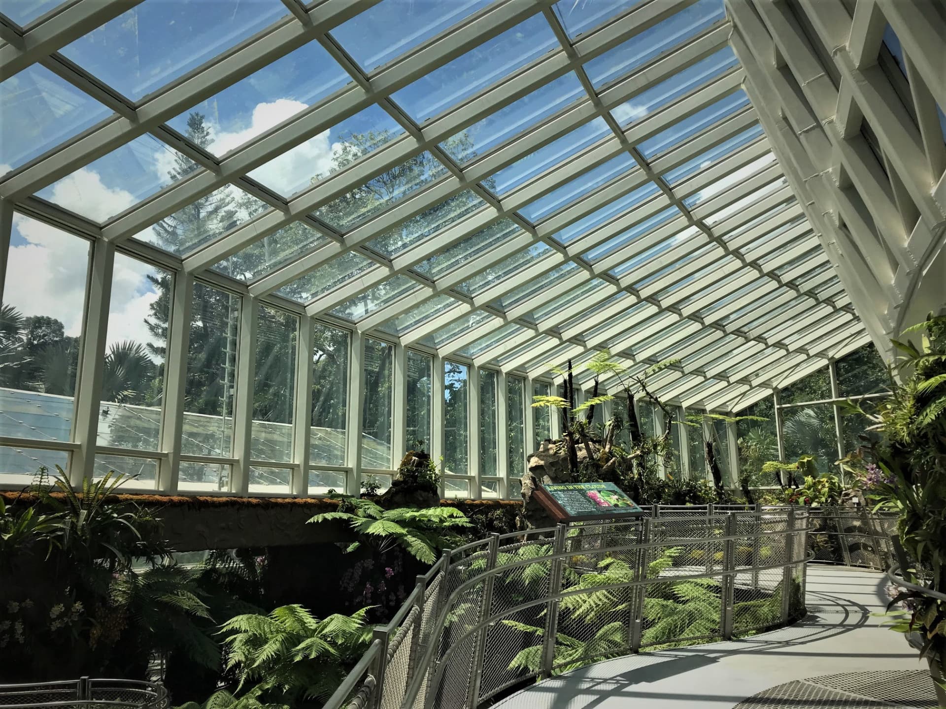 National Orchid Garden Ticket - სურათი 9