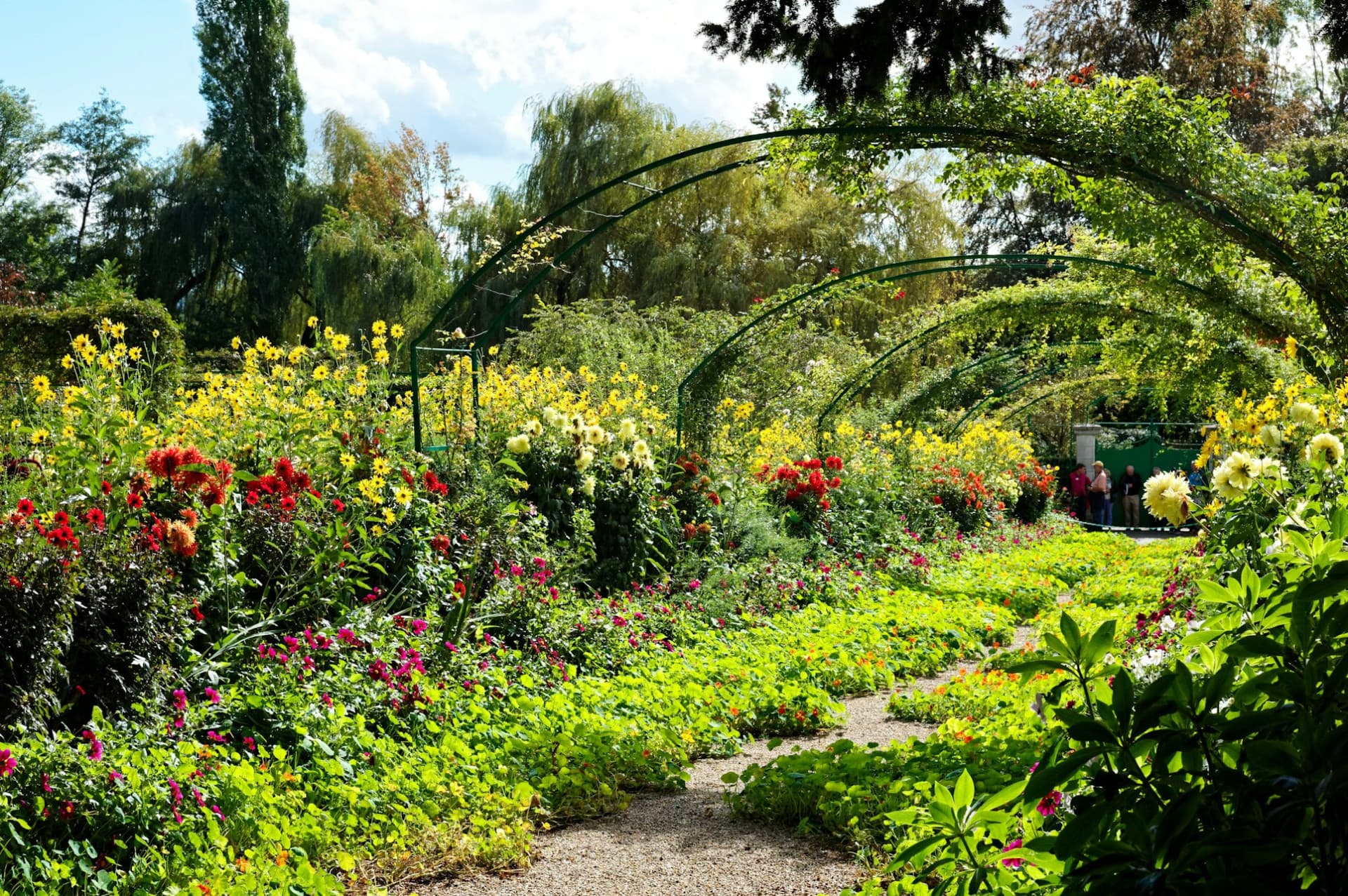 Giverny: Impressionist Day Trip from Paris with Audio Guide - სურათი 13