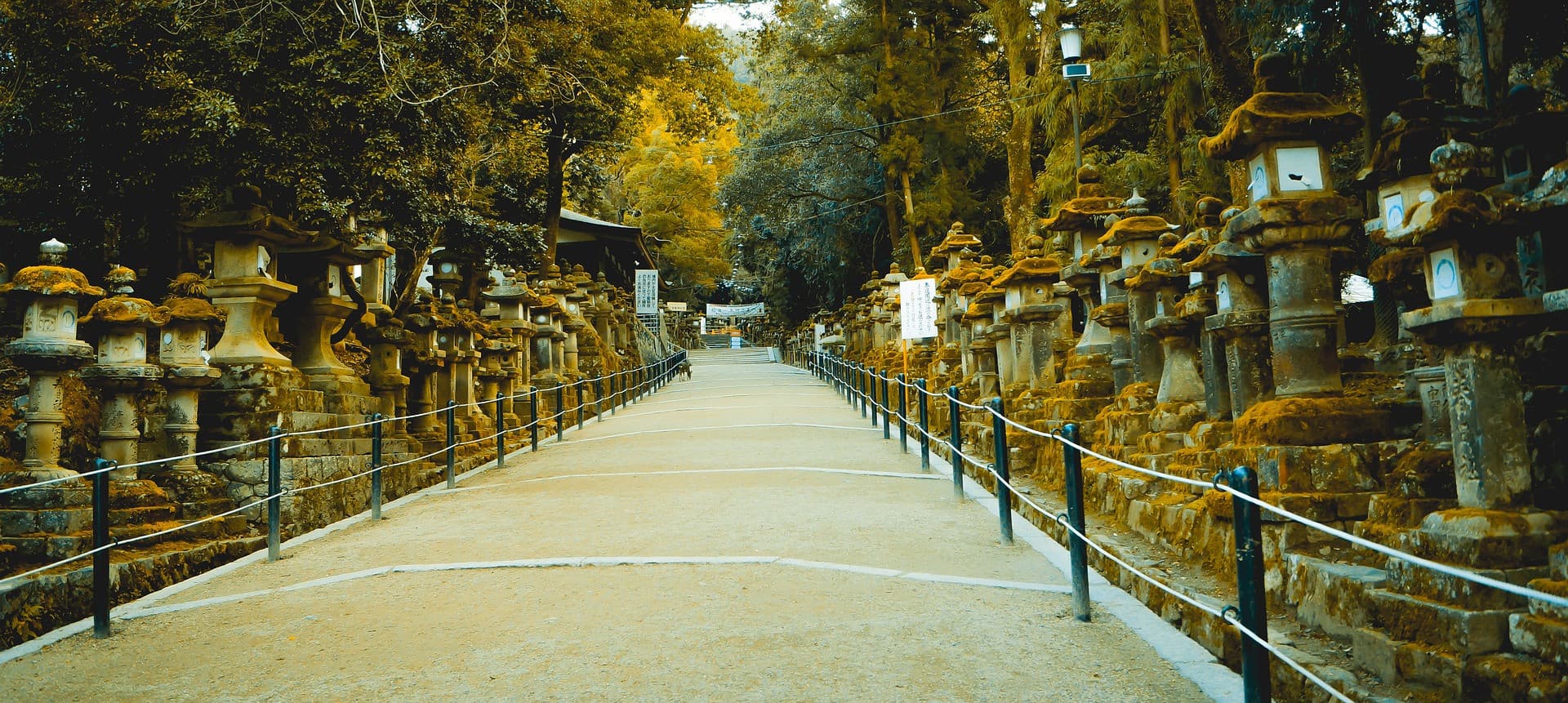 Nara Tour from Kyoto - სურათი 5