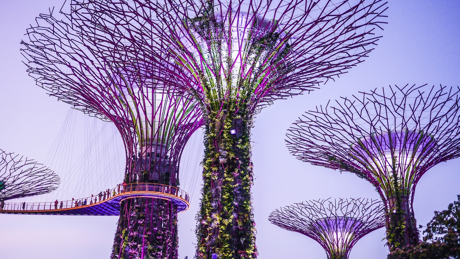 COMBO: Singapore Cable Car + Gardens by the Bay Ticket - სურათი 9
