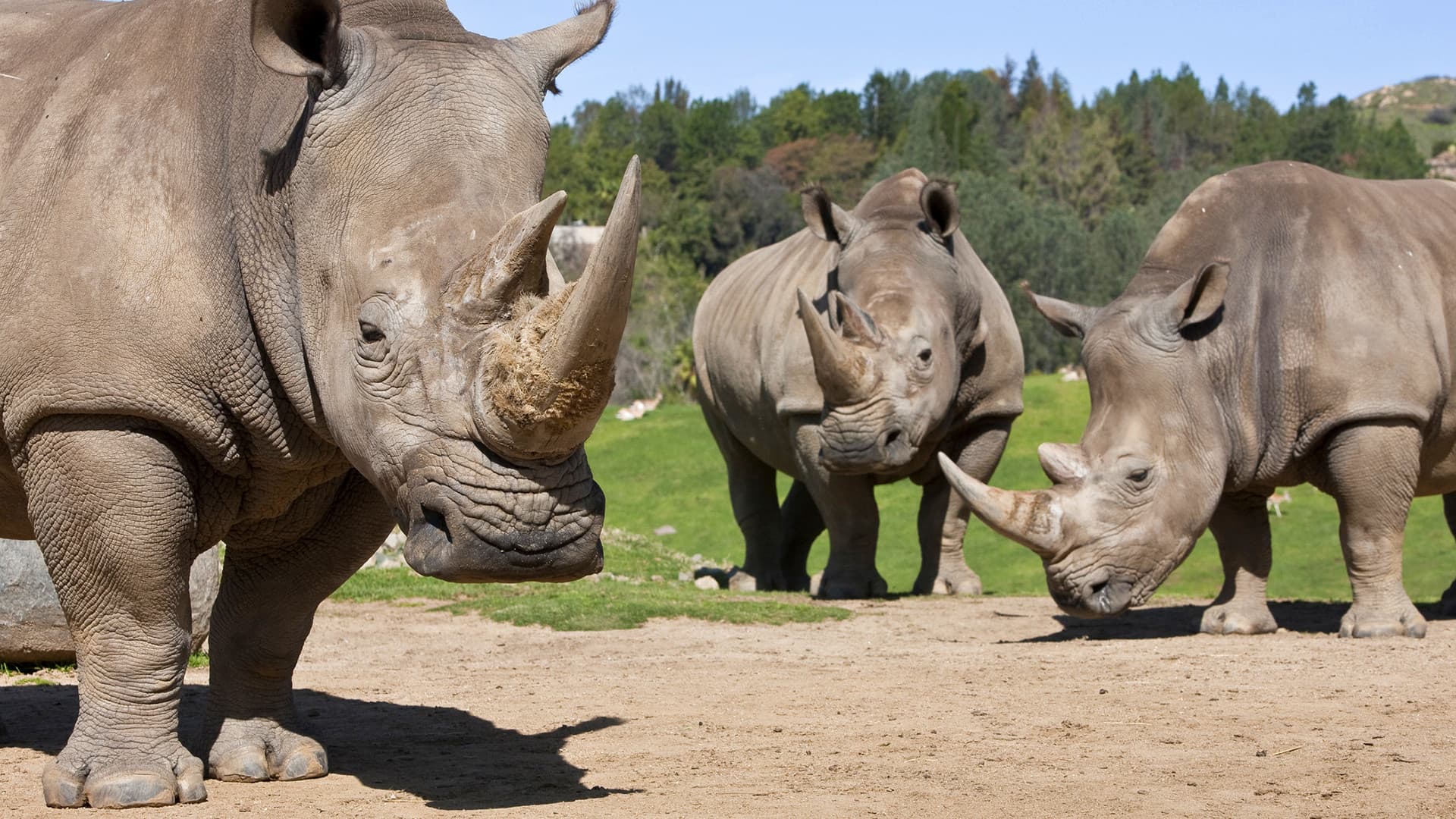 Go City San Diego Explorer Pass: Save up to 50% on Attractions - სურათი 40