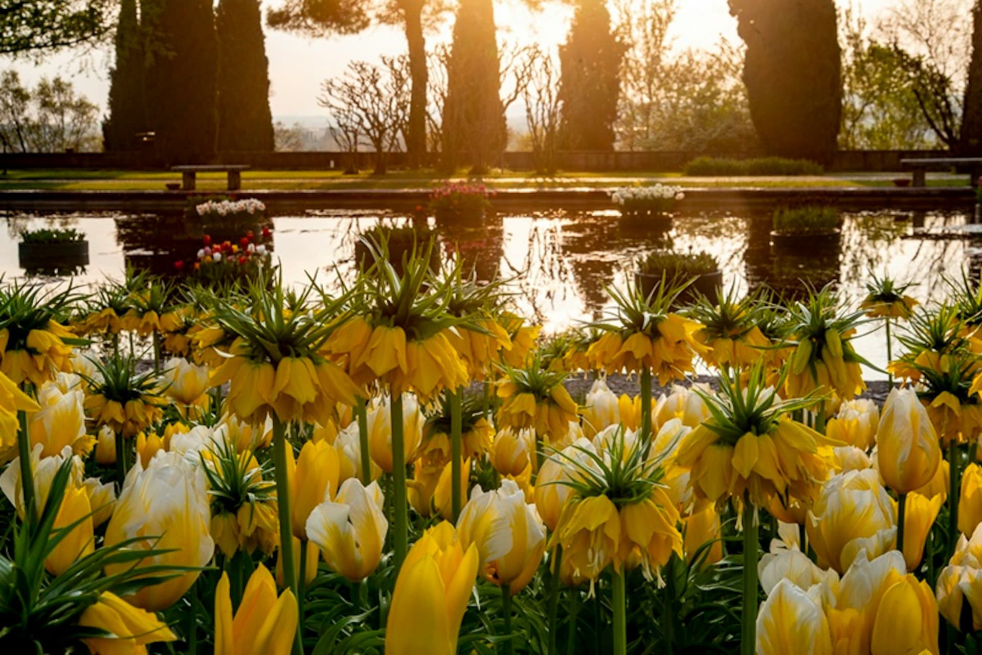 Parco Giardino Sigurtà Ticket - სურათი 15