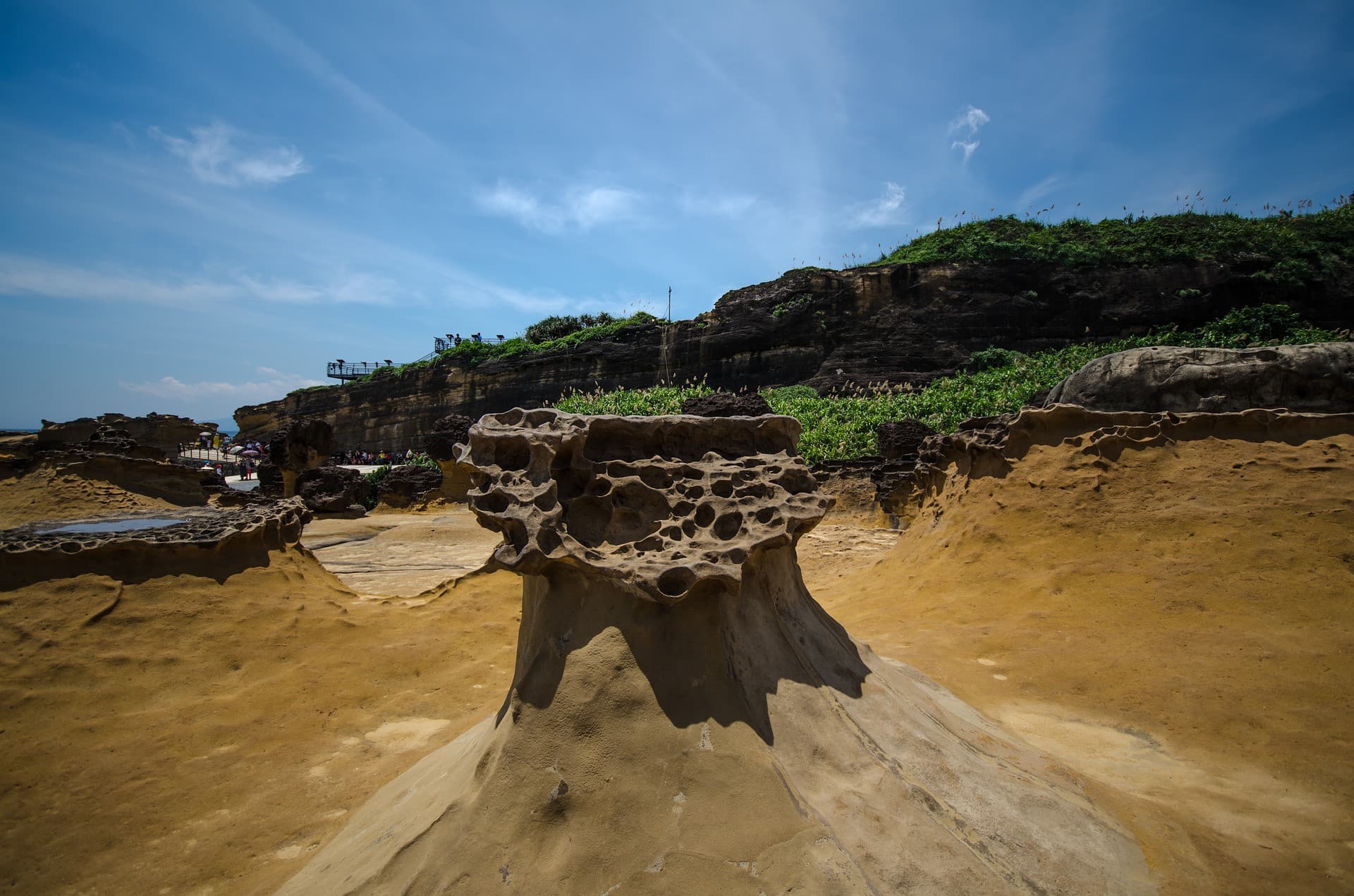 COMBO: Taipei 101 Observatory + Yehliu Geopark - სურათი 6
