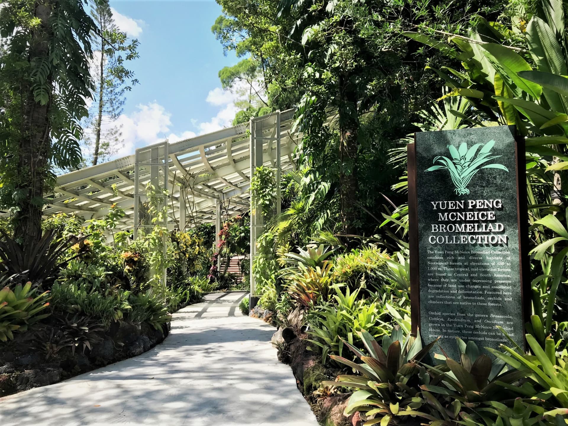 COMBO: Gardens by the Bay + National Orchid Garden Ticket - სურათი 8