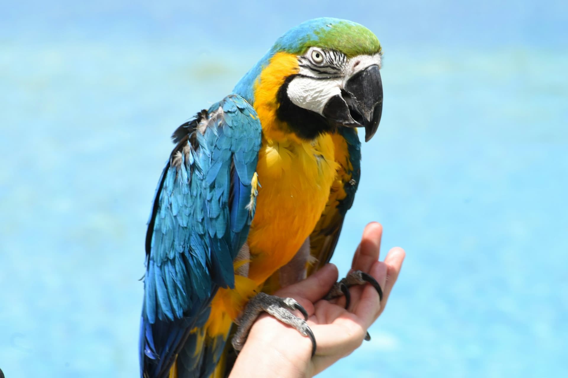 Terra Natura Murcia Ticket - სურათი 2