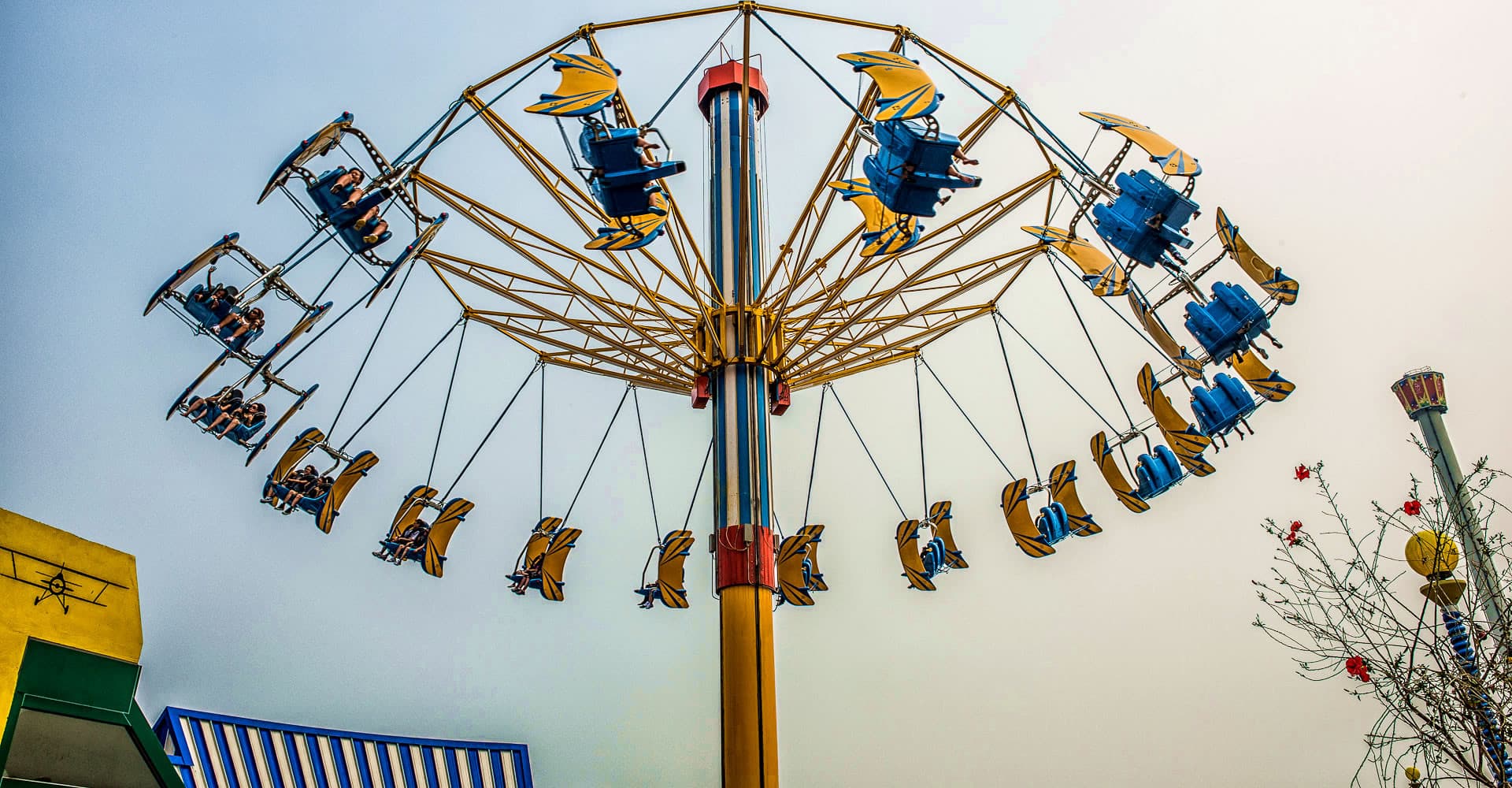Ocean Park Hong Kong Ticket - სურათი 18