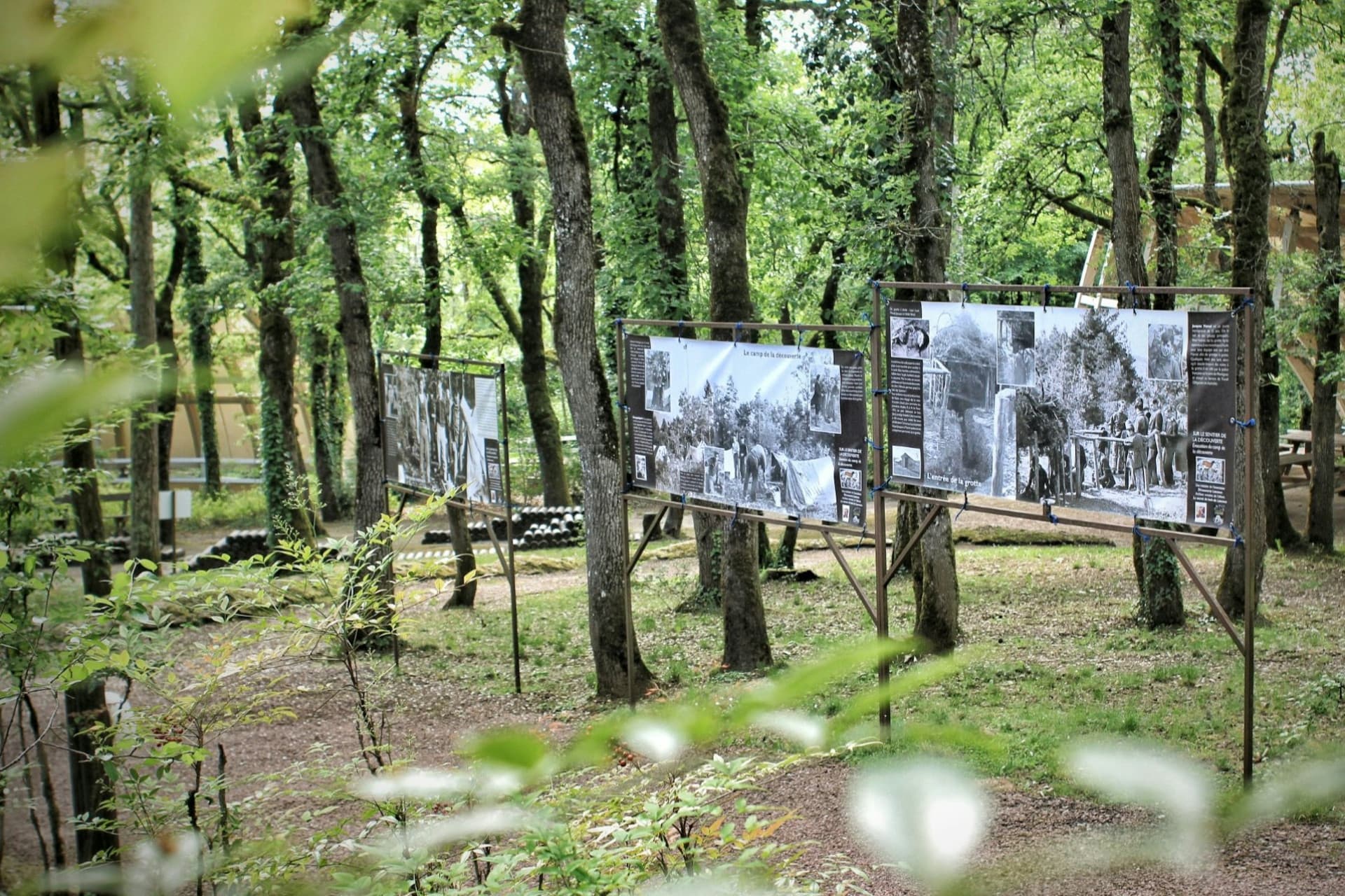 Lascaux II Guided Tour - სურათი 4