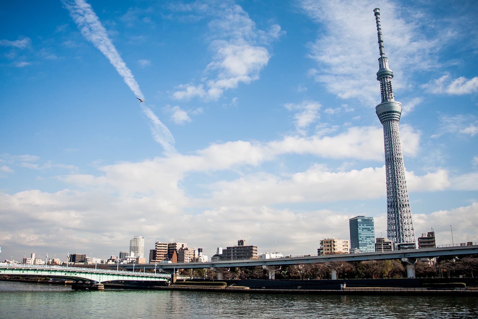 COMBO: Tokyo Skytree + Tembo Galleria Ticket - სურათი 2