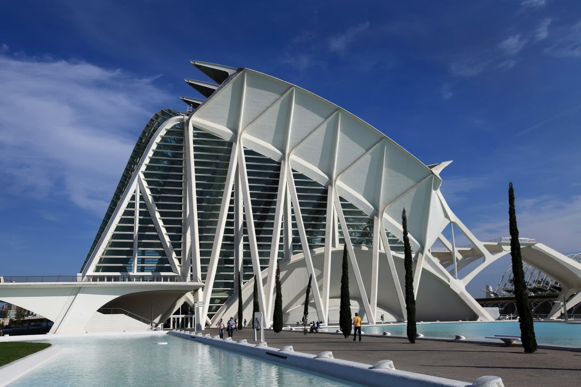 Science Museum Valencia Ticket - სურათი 2