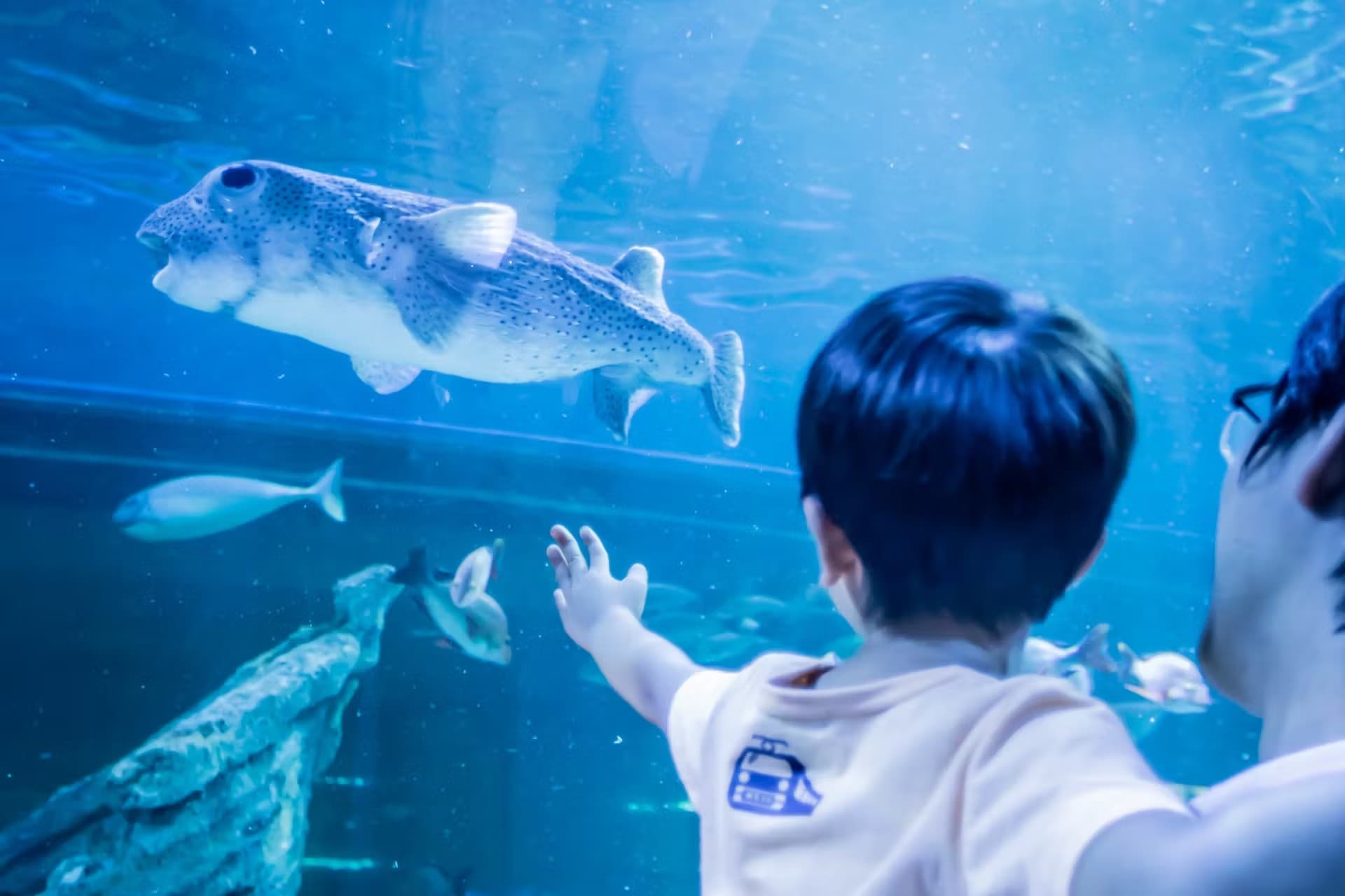 Shinagawa Aquarium Ticket - მთავარი სურათი