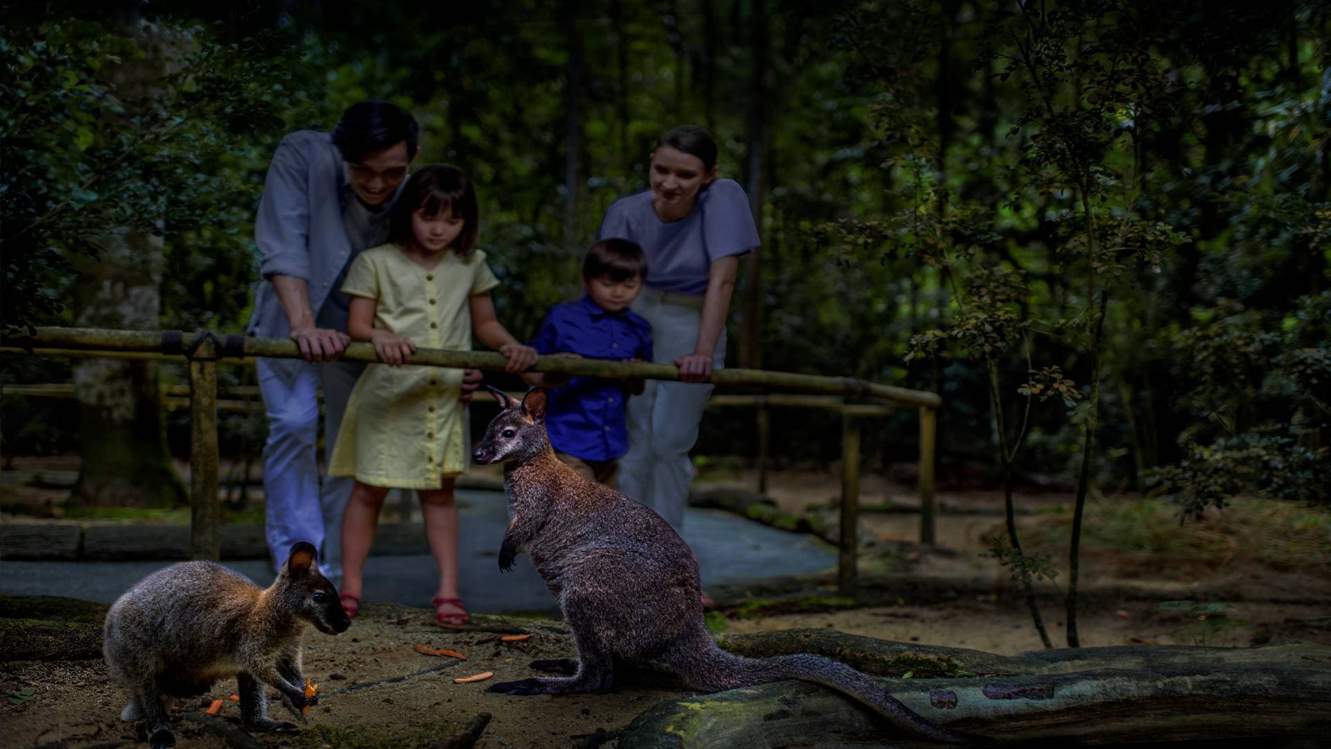 Singapore Night Safari Ticket - სურათი 4