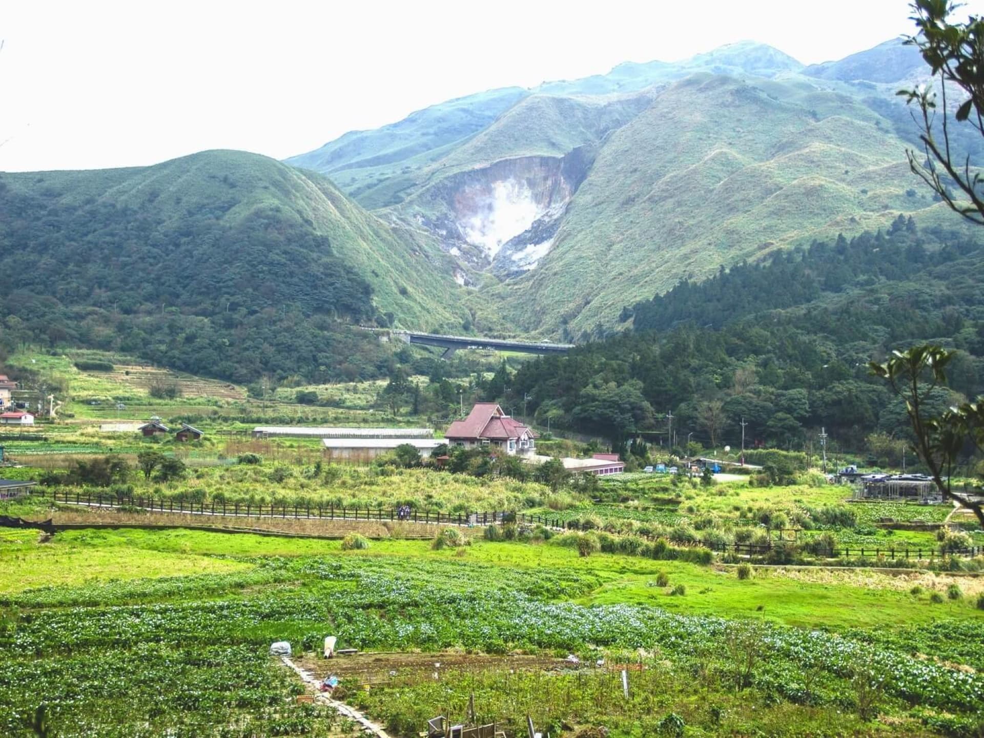 Yangmingshan National Park and Beitou Hot Spring Full-Day Tour from Taipei - სურათი 12