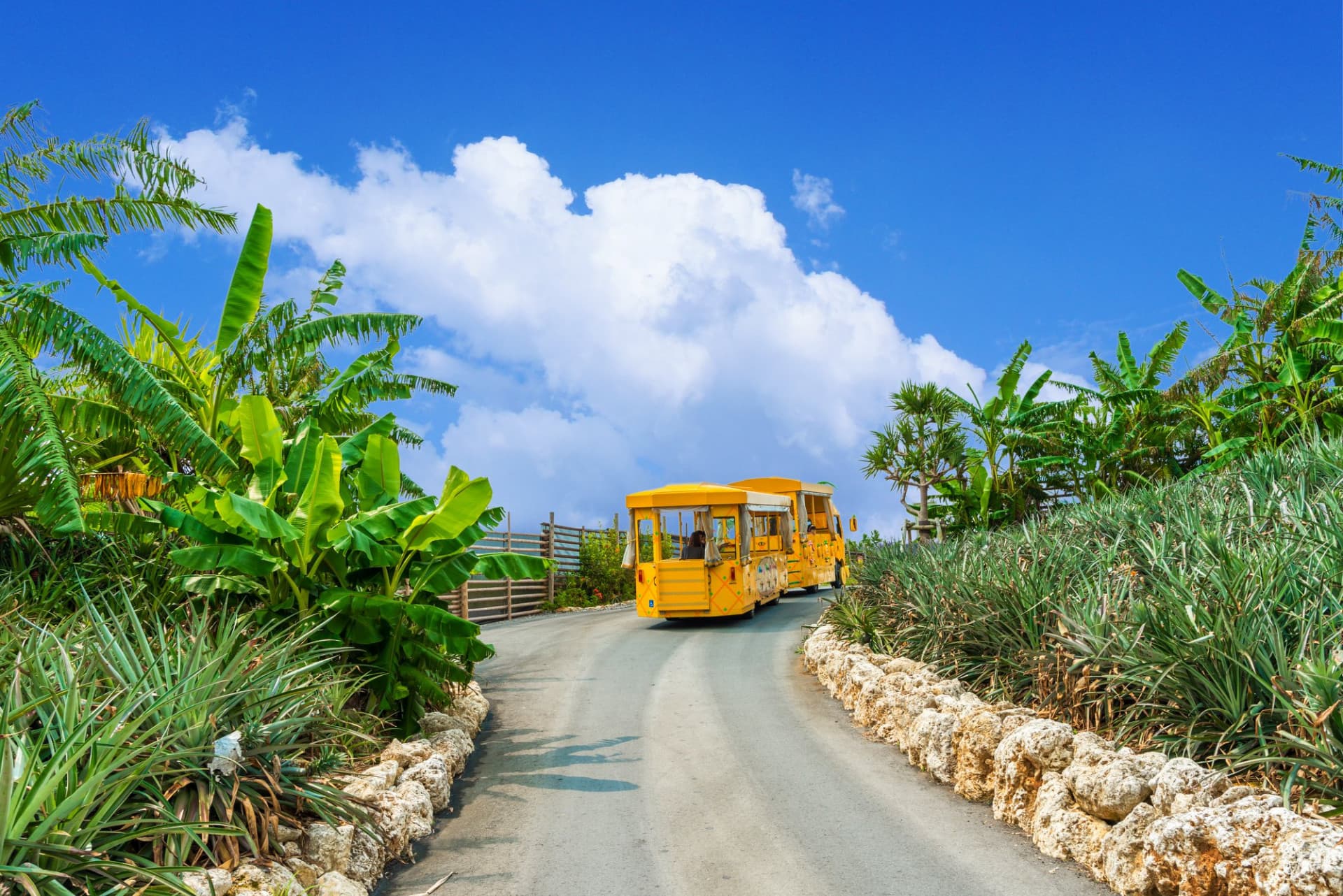Okinawa Nago Pineapple Park - სურათი 7