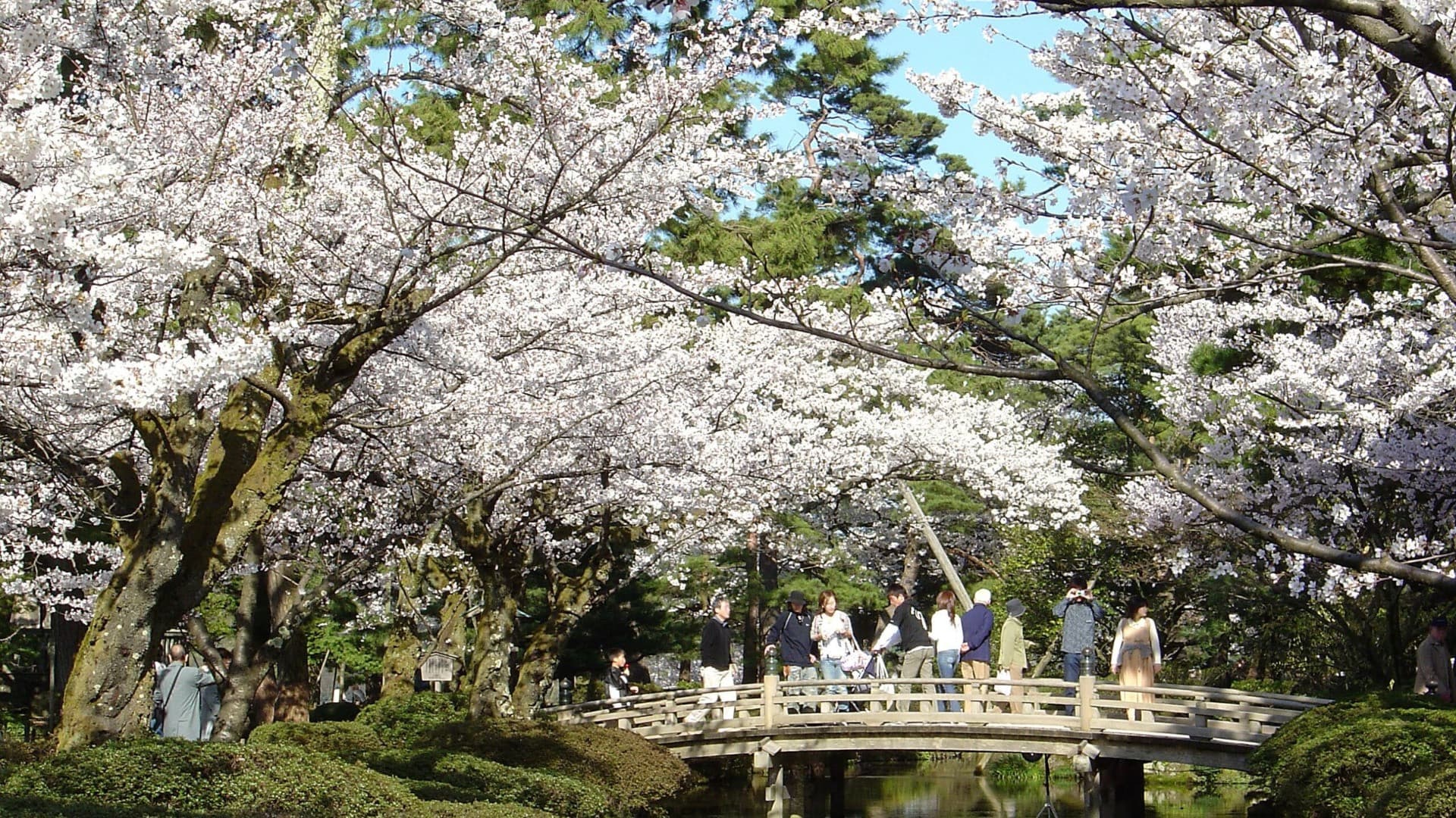 Kenrokuen Garden Ticket - სურათი 3