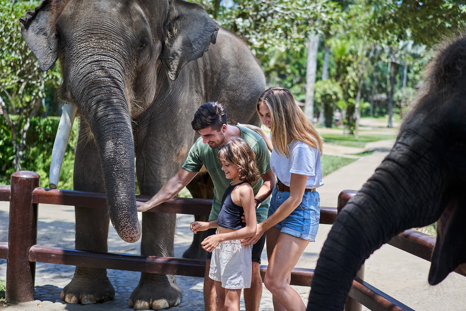 Mason Elephant Park Bali by Mason Adventures (Formerly known as Elephant Safari Park) - სურათი 4