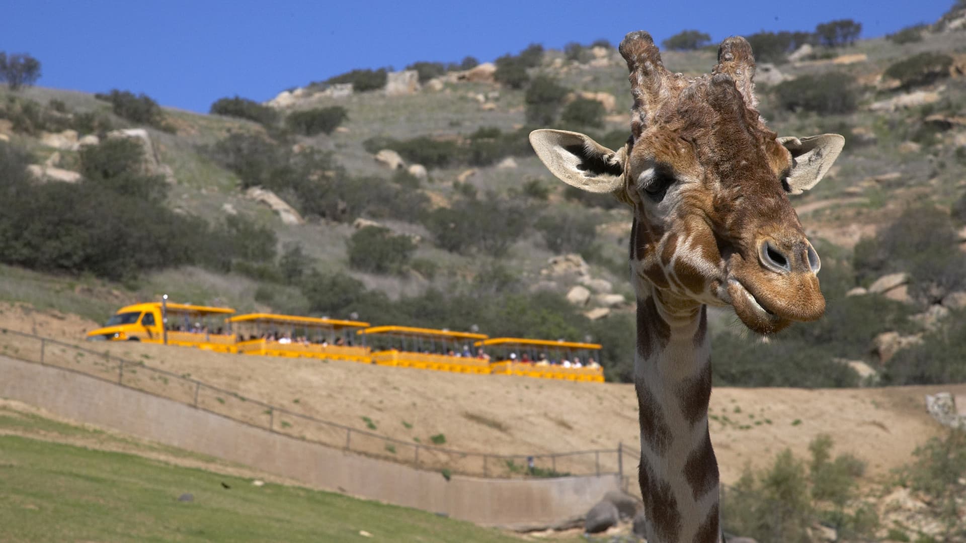 Go City San Diego Explorer Pass: Save up to 50% on Attractions - სურათი 42