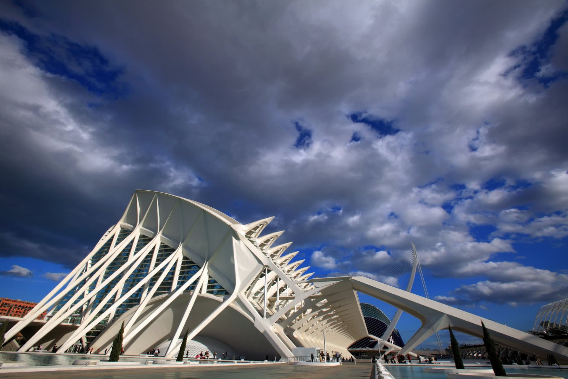Science Museum Valencia Ticket - სურათი 6