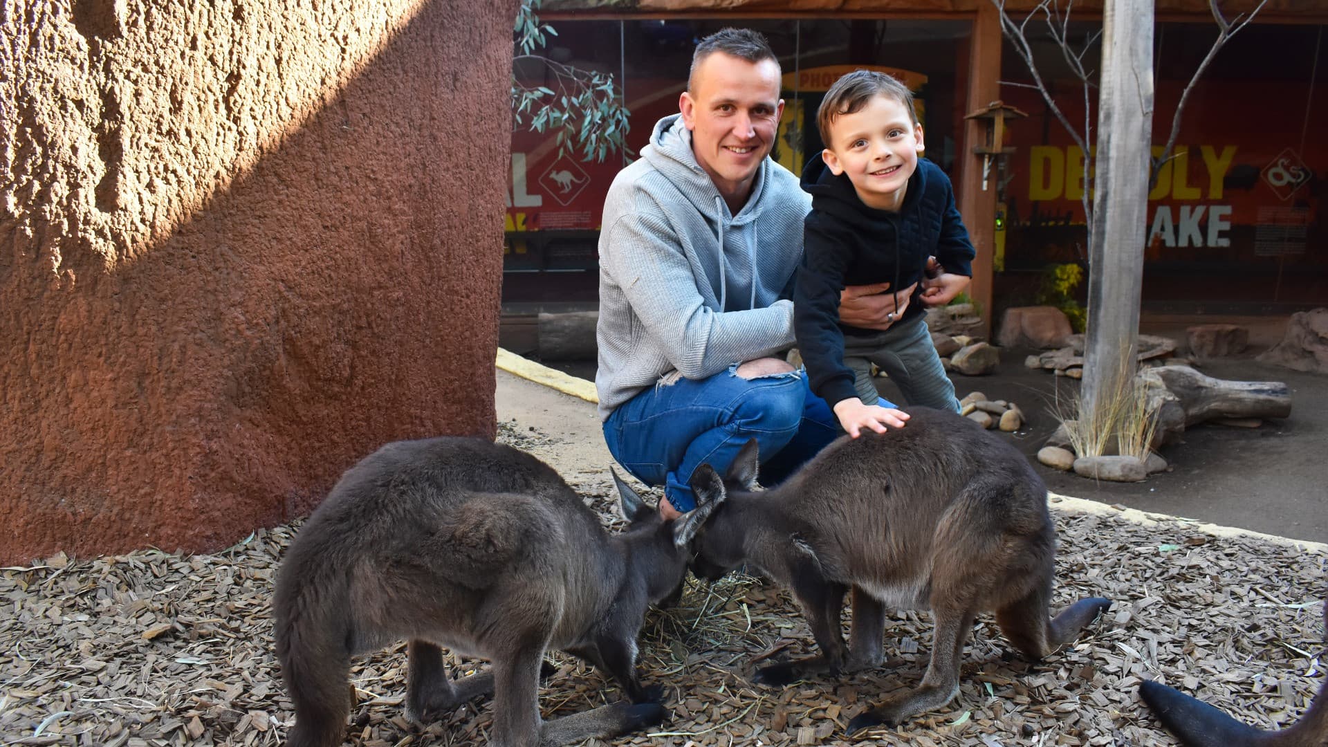 COMBO: WILD LIFE Sydney Zoo Ticket + Captain Cook Hop-on Hop-off Cruise - სურათი 7