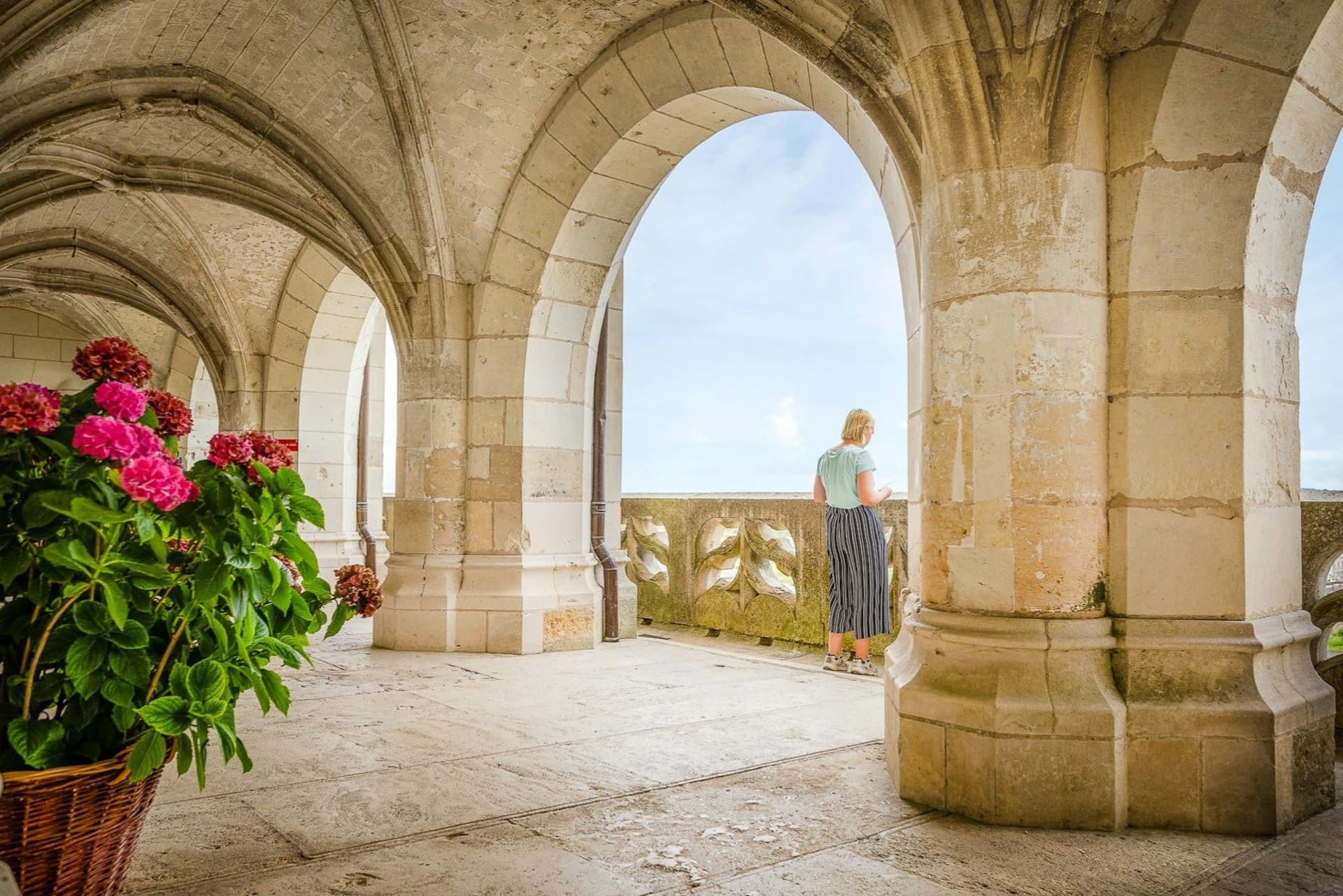 Château d'Amboise Skip The Line Ticket - სურათი 7
