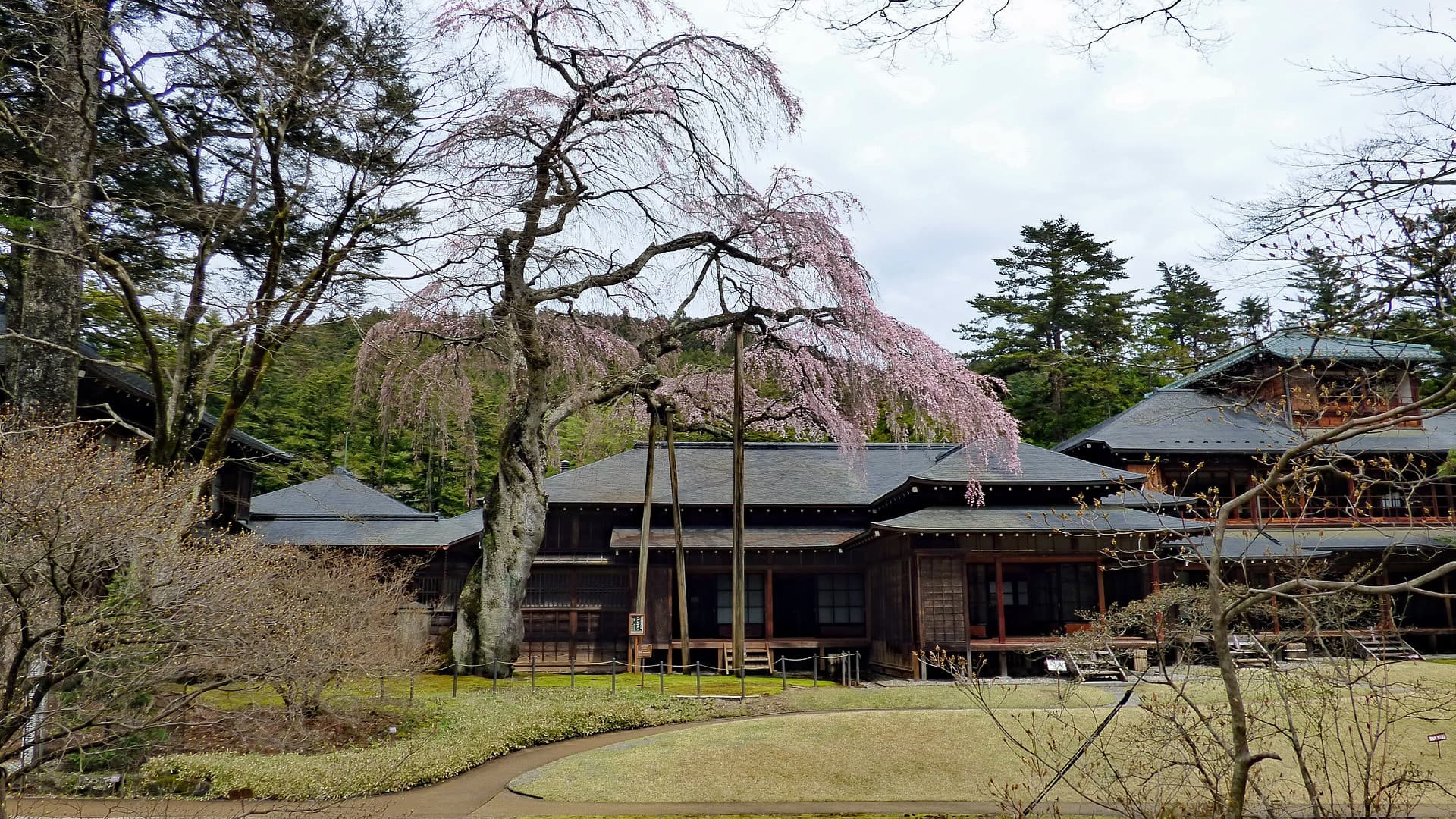 Nikko Pass - World Heritage Area - სურათი 7