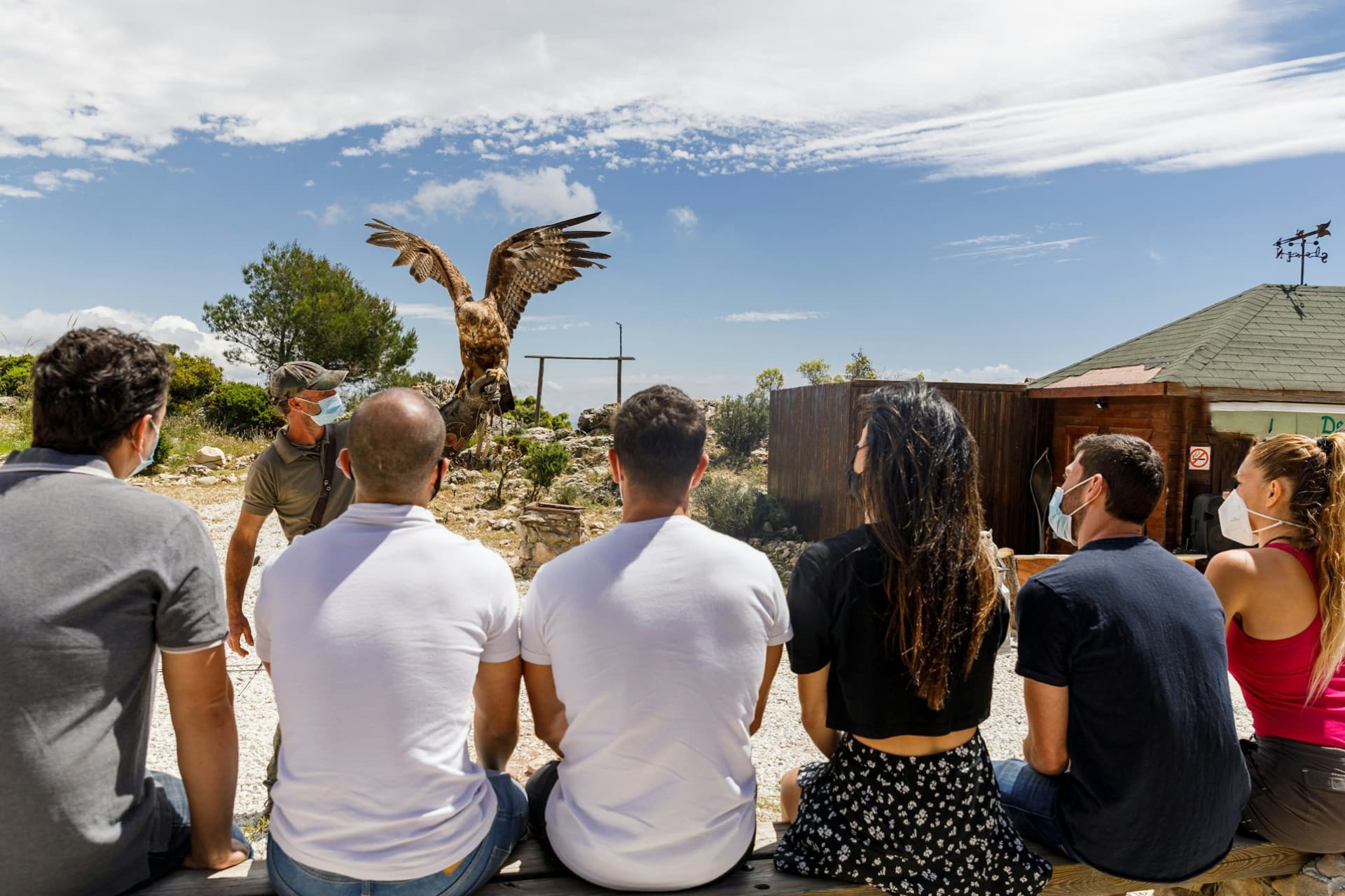 Teleférico Benalmádena Ticket - სურათი 11