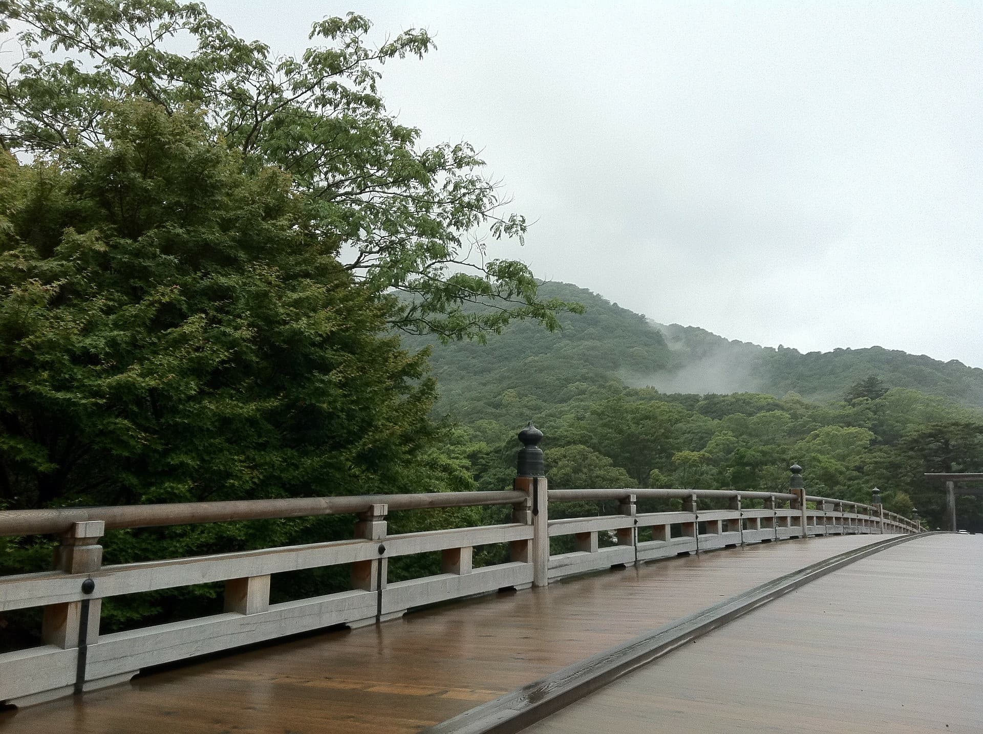 Uji Walking Tour and Tea Ceremony Experience from Kyoto - სურათი 4