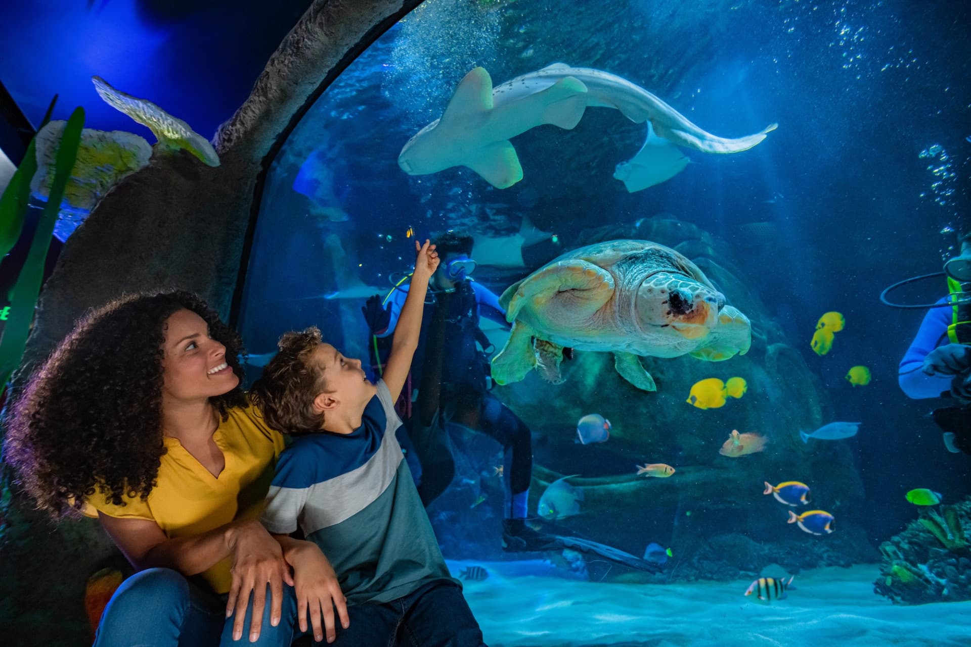 SEA LIFE Orlando Aquarium Ticket - სურათი 2