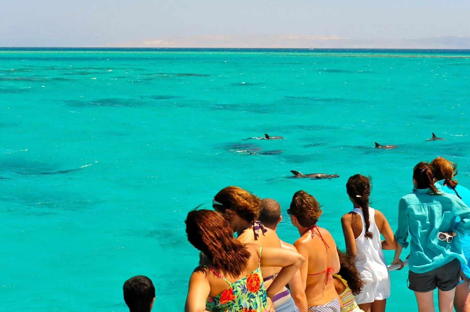 Key West: Dolphin Watching Cruise + Snorkeling + Drinks - სურათი 6