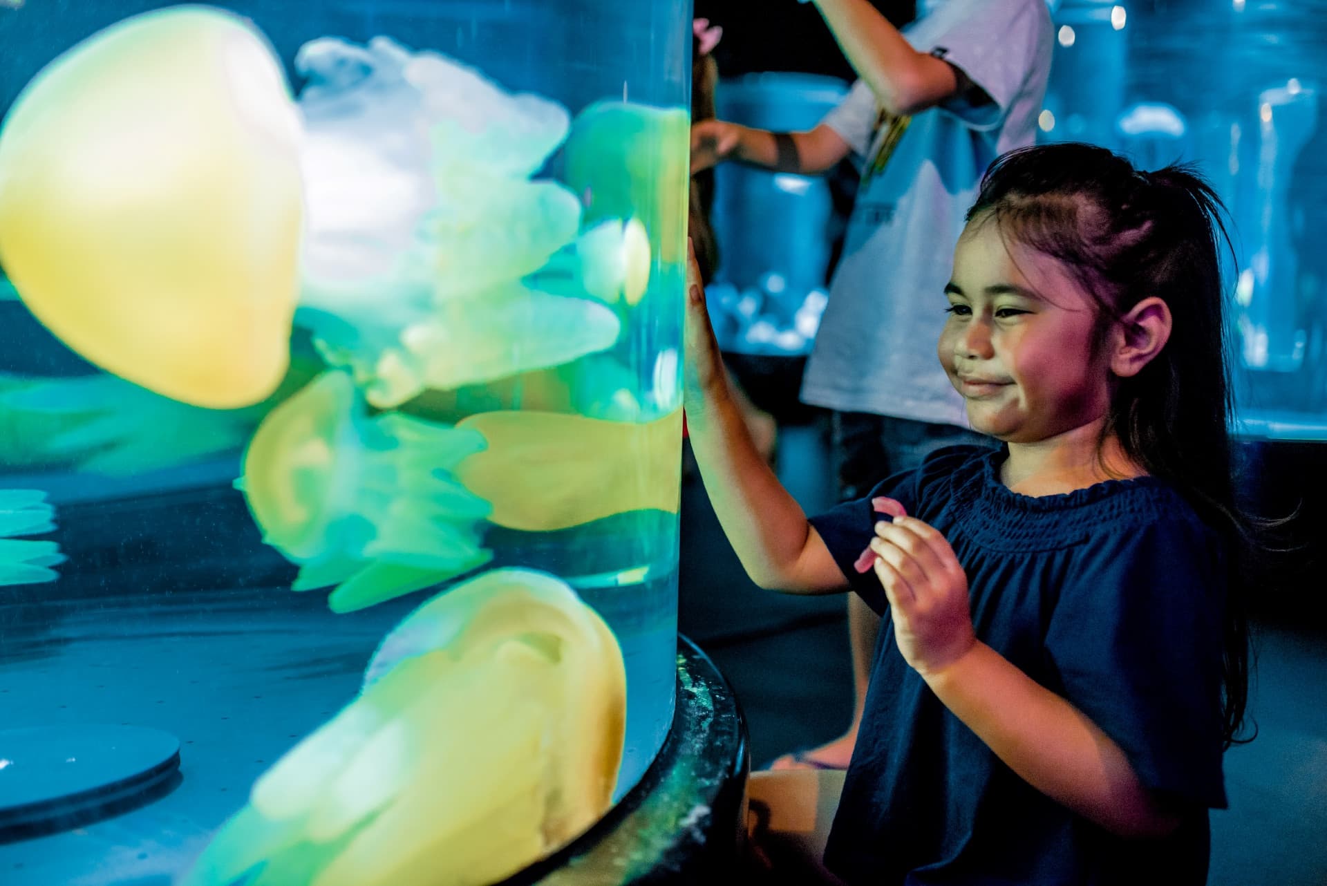 Sydney Multi-Attraction Pass - სურათი 6