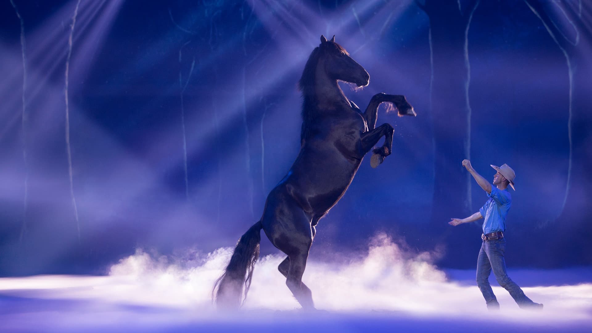 Australian Outback Spectacular Dinner Show Ticket - სურათი 3
