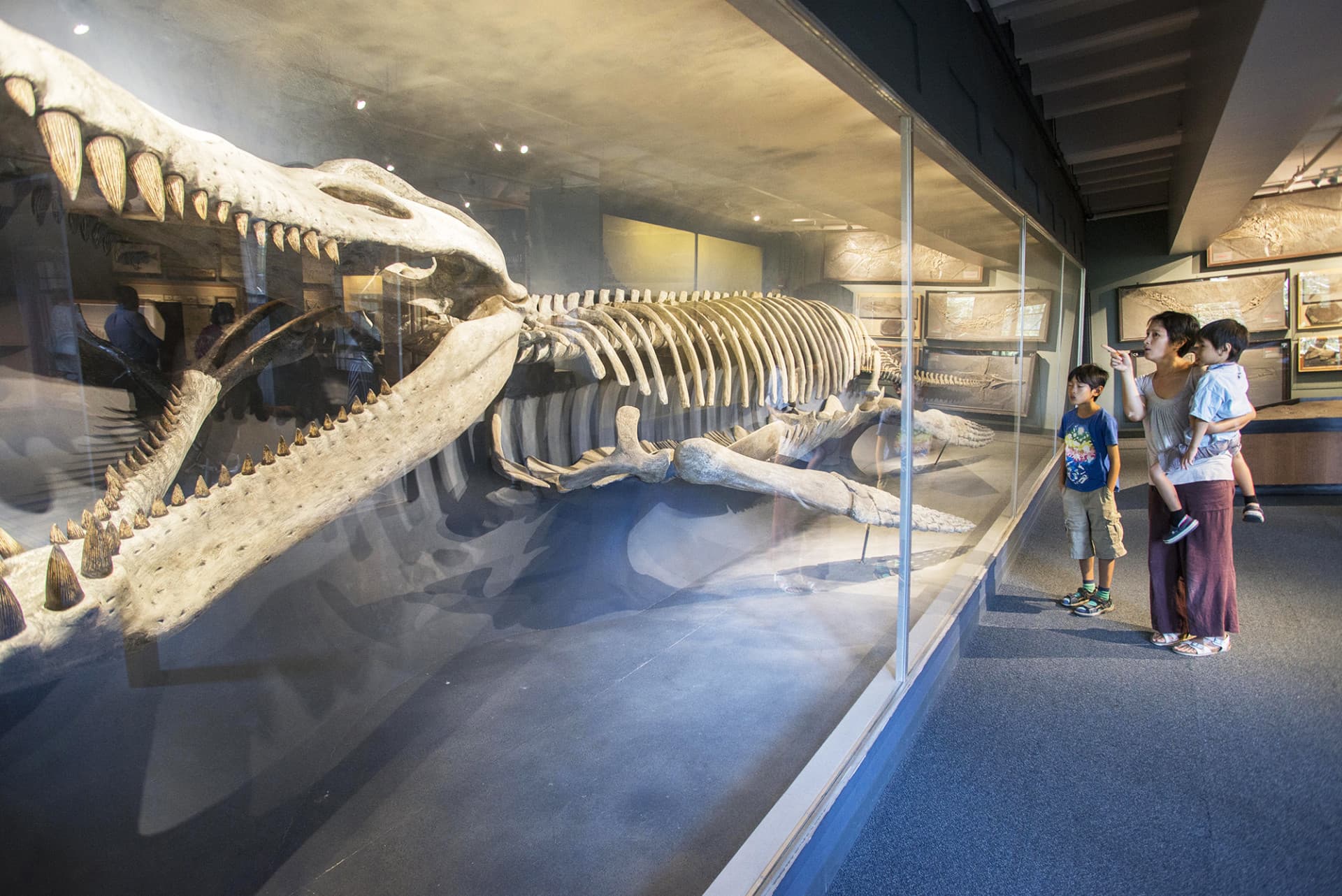 Go City Boston All-Inclusive Pass: Save up to 50% on Attractions - სურათი 26