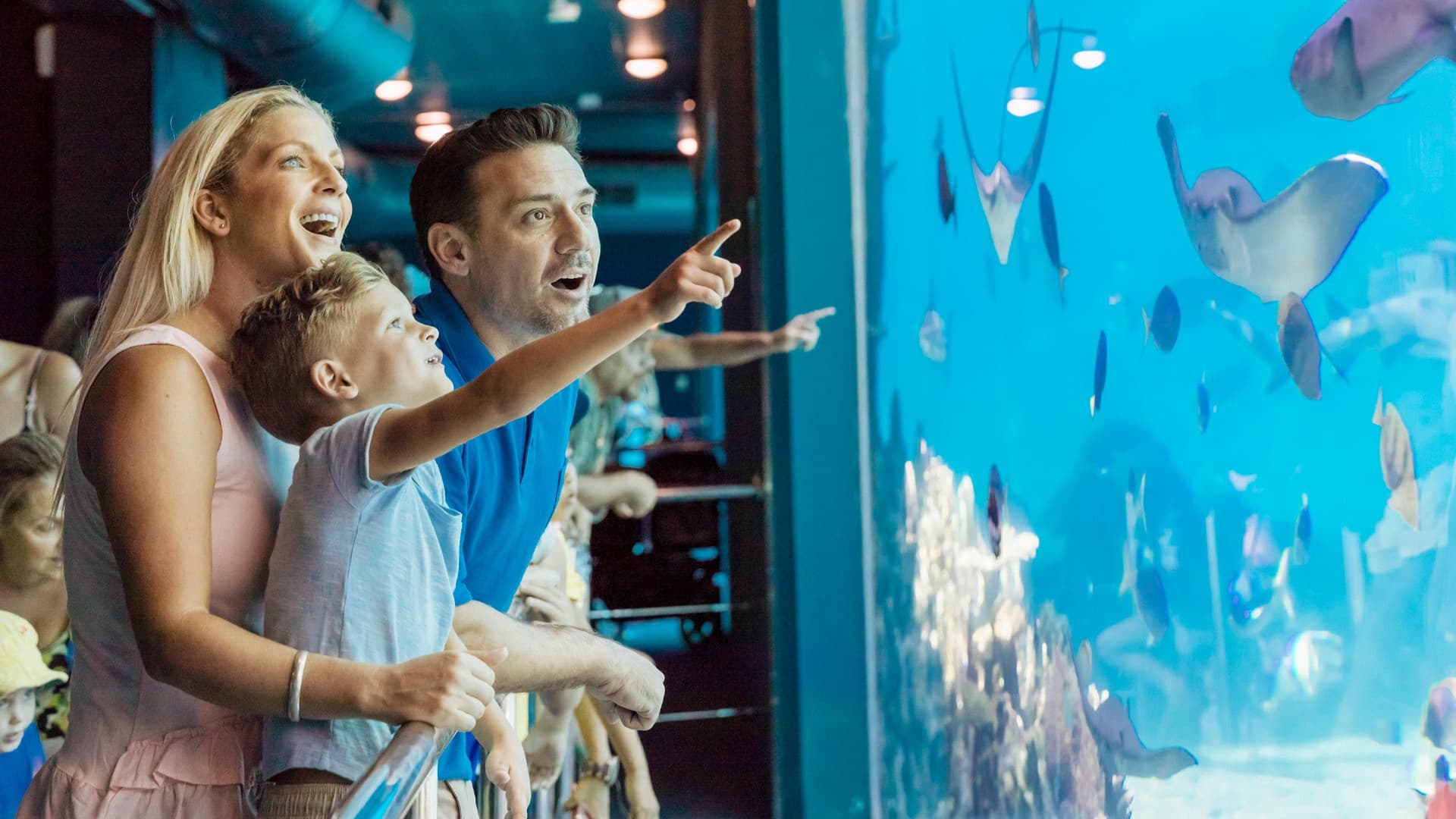 Sea World Gold Coast Ticket - სურათი 3