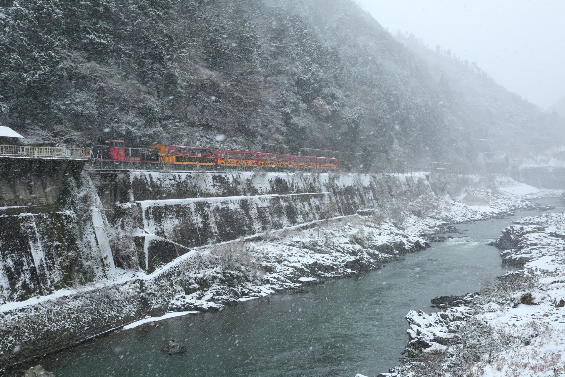 Sagano Romantic Train - სურათი 25